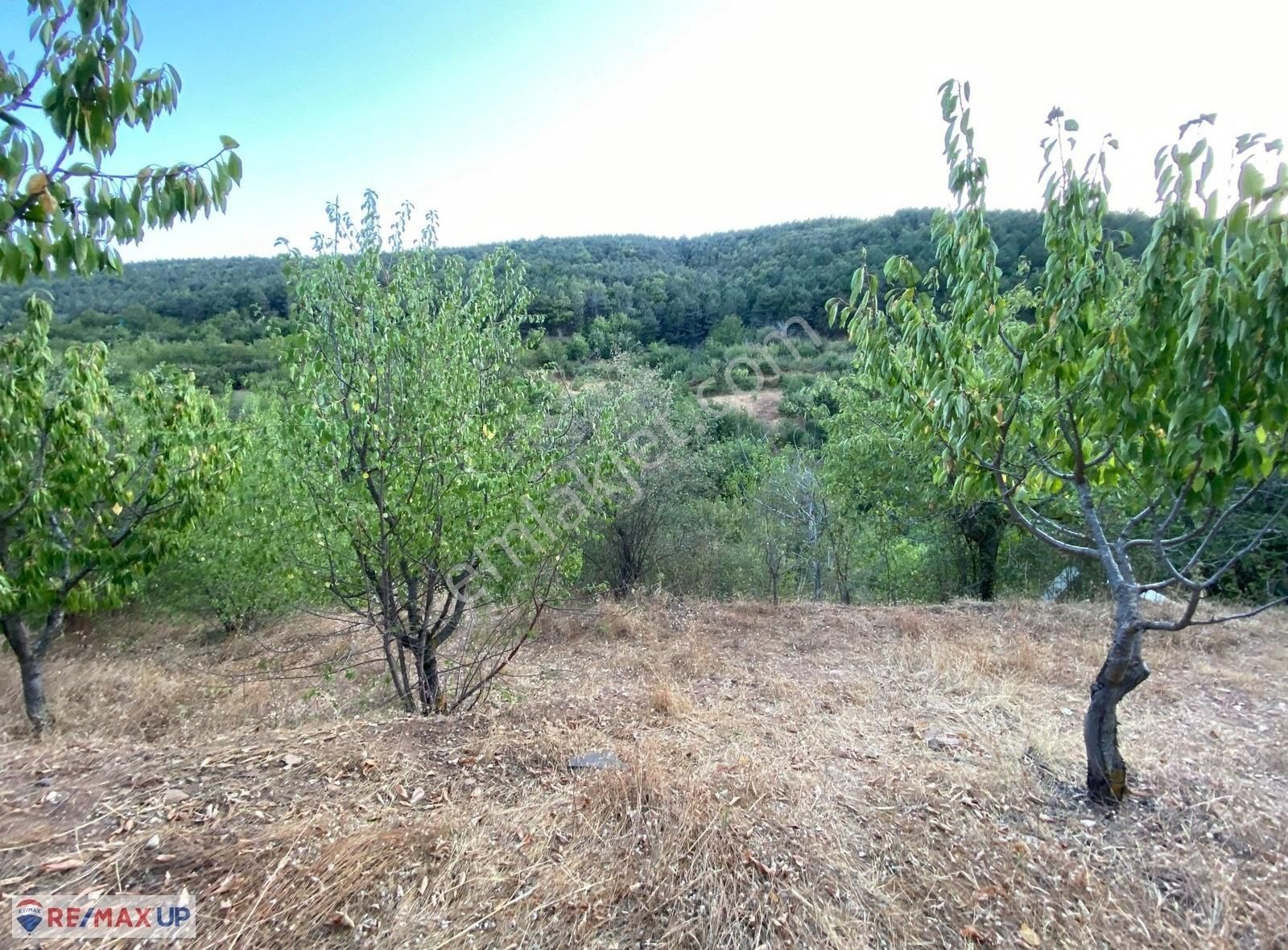 Bayındır Kenger Yaylasında Müstakil Tapulu Yatırımlık Kirazlık - Görsel 10