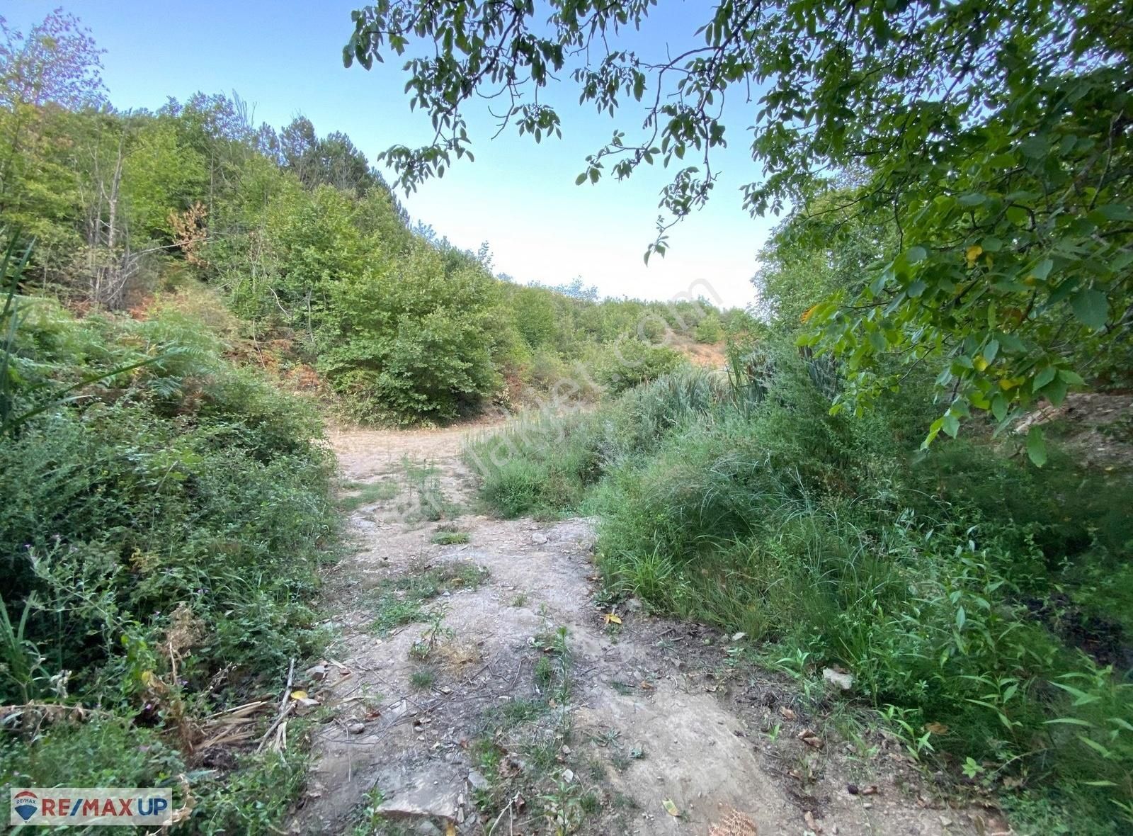 Bayındır Kenger Yaylasında Müstakil Tapulu Yatırımlık Kirazlık - Görsel 34