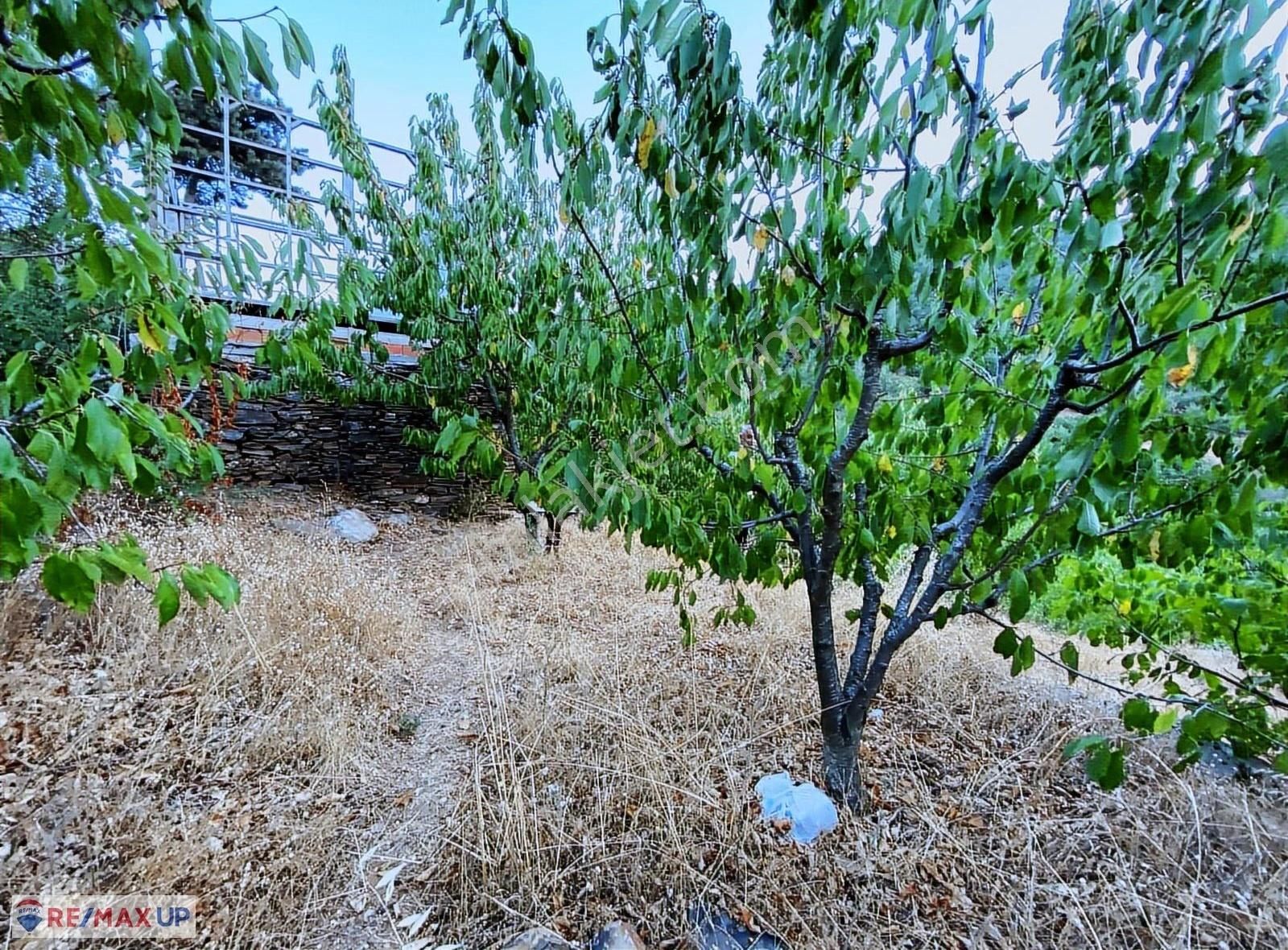 Bayındır Kenger Yaylasında Müstakil Tapulu Yatırımlık Kirazlık - Görsel 22