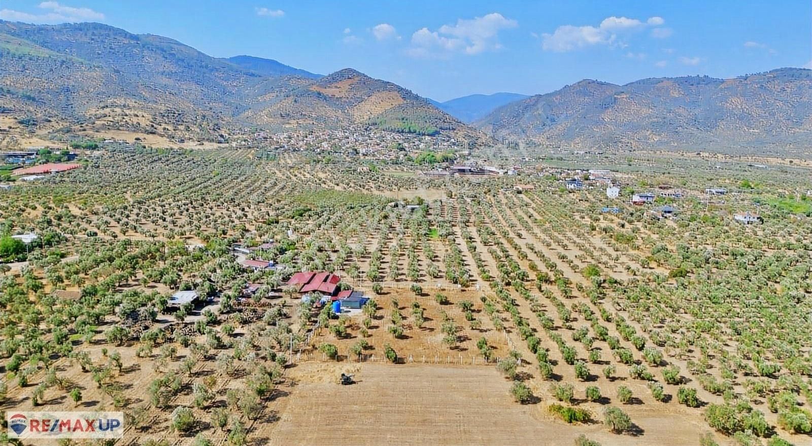 Yakapınarda Konteynerlı,zeytin Ve Meyve Ağaçlı Arazi - Görsel 11