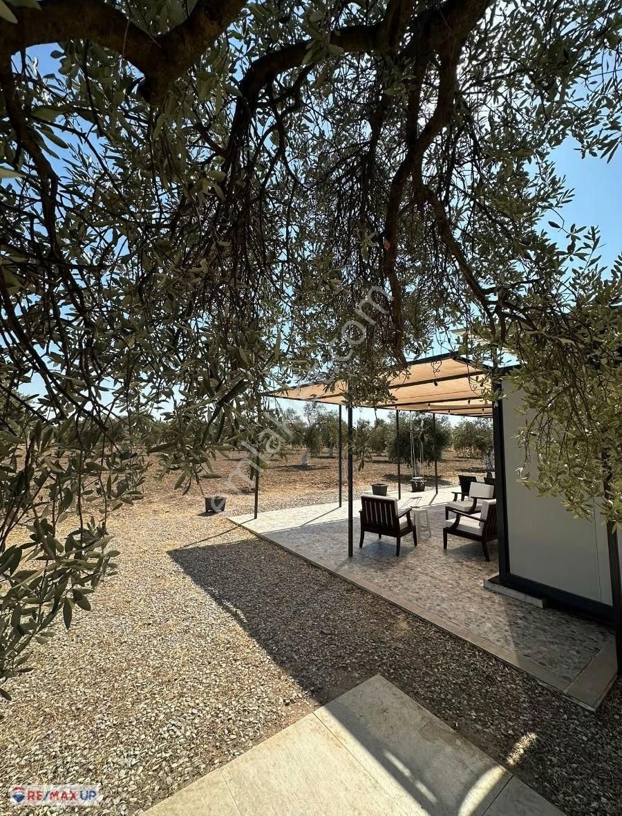 Yakapınarda Konteynerlı,zeytin Ve Meyve Ağaçlı Arazi - Görsel 10