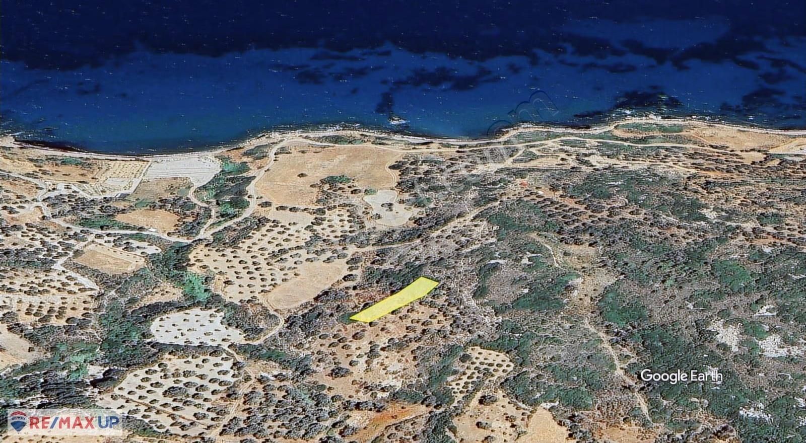 Kumbükü Sahiline 1 Km Mesafede 1035 M² Tarla