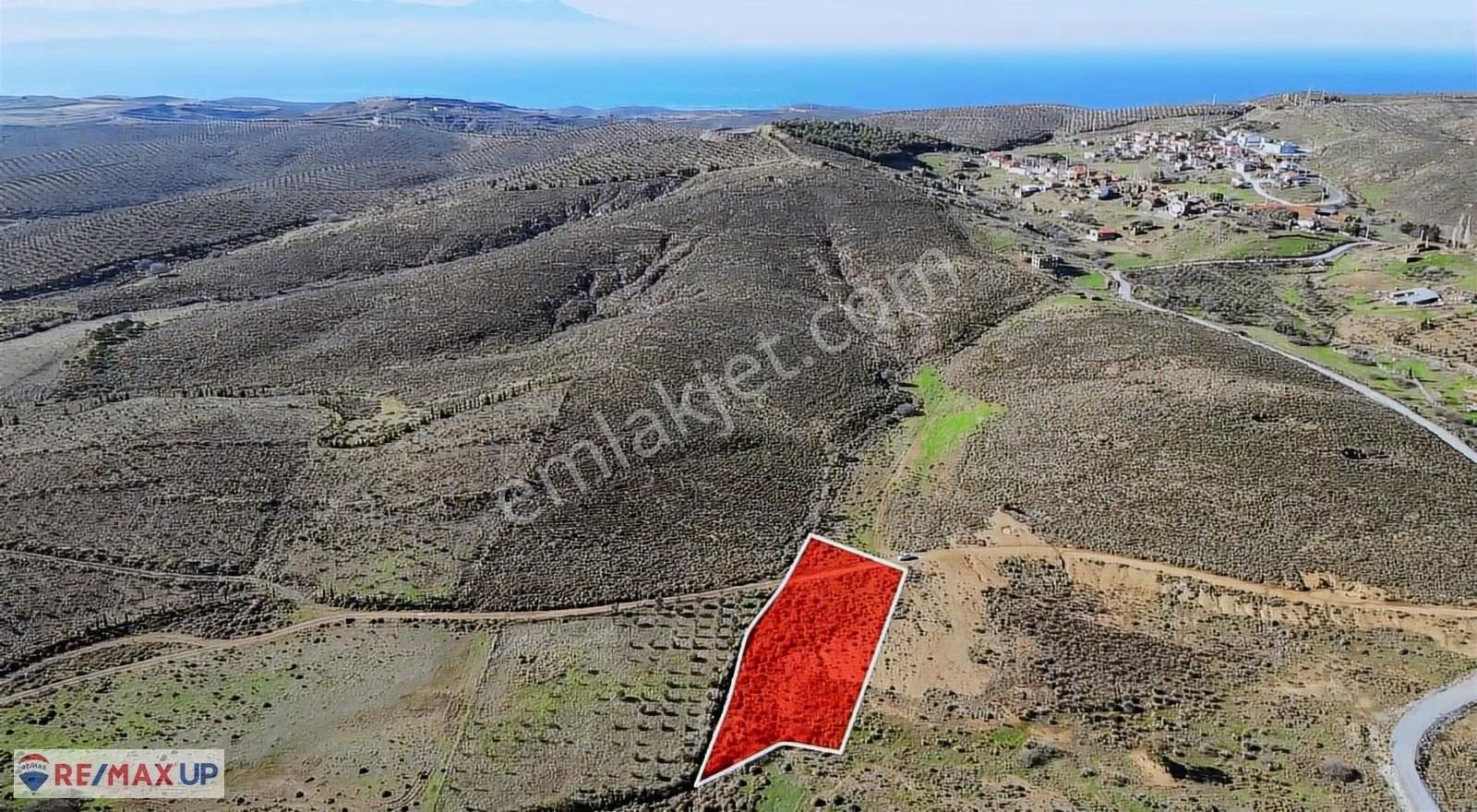 Parlak Köy Merkezine 500 M Mesafede 2516 M2 Tarla - Görsel 4