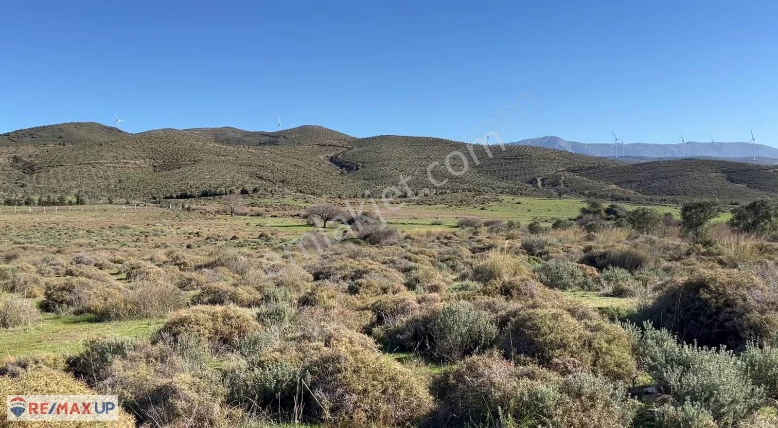 Parlak Köy Merkezine 500 M Mesafede 2516 M2 Tarla - Görsel 5