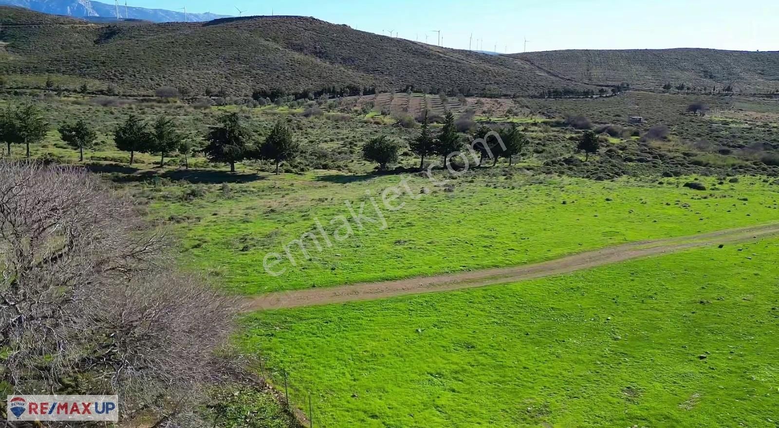 Parlak Köy Merkezine Yakın 844 M2 Tarla - Görsel 6