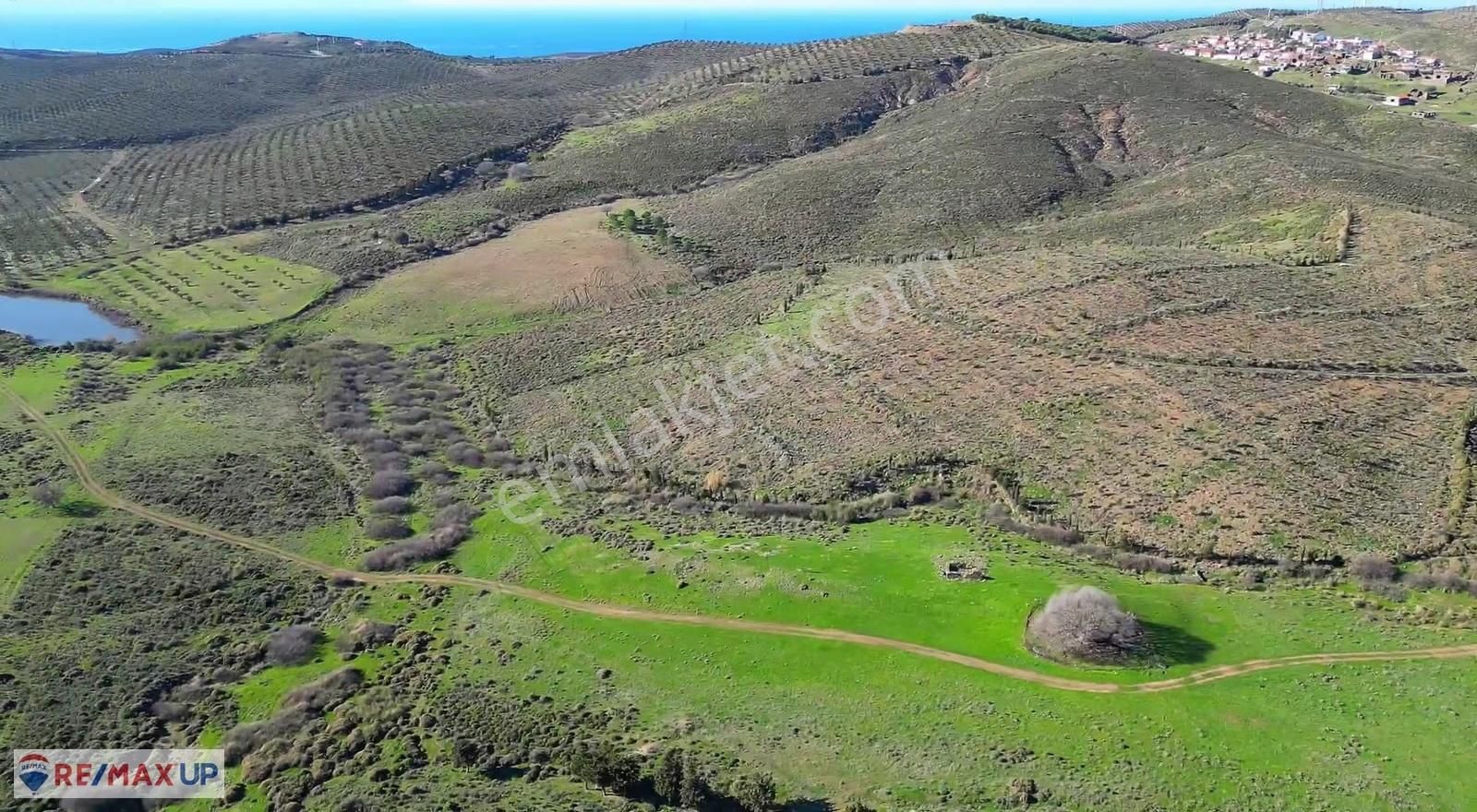 Parlak Köy Merkezine Yakın 844 M2 Tarla - Görsel 3