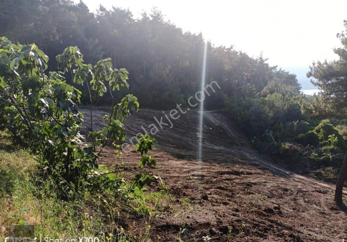 🏡 Mudanya Mirzaoba’da 2050 M² Yolu Olan Yatırımlık Tarla Satışta - Görsel 9