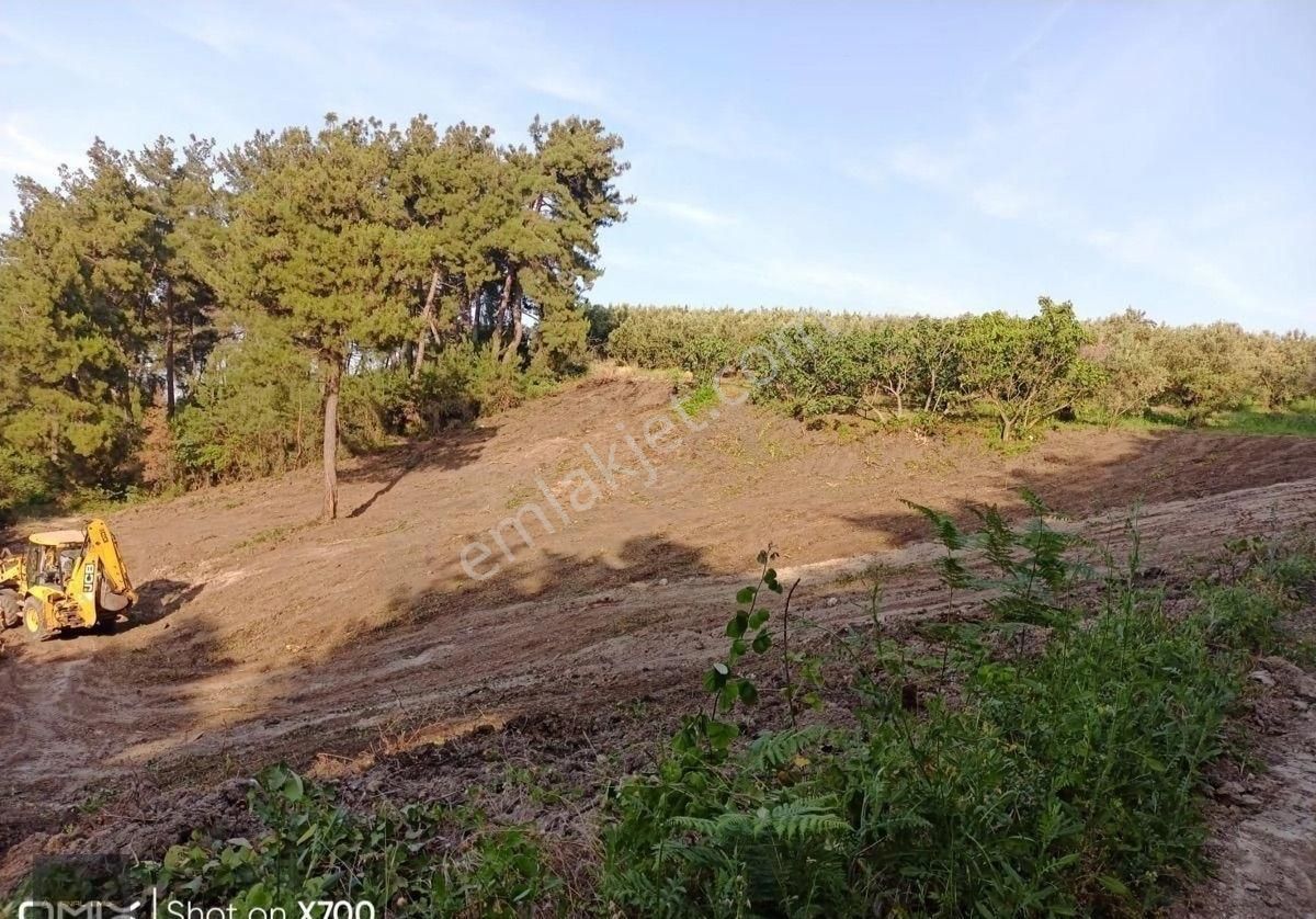 🏡 Mudanya Mirzaoba’da 2050 M² Yolu Olan Yatırımlık Tarla Satışta - Görsel 11