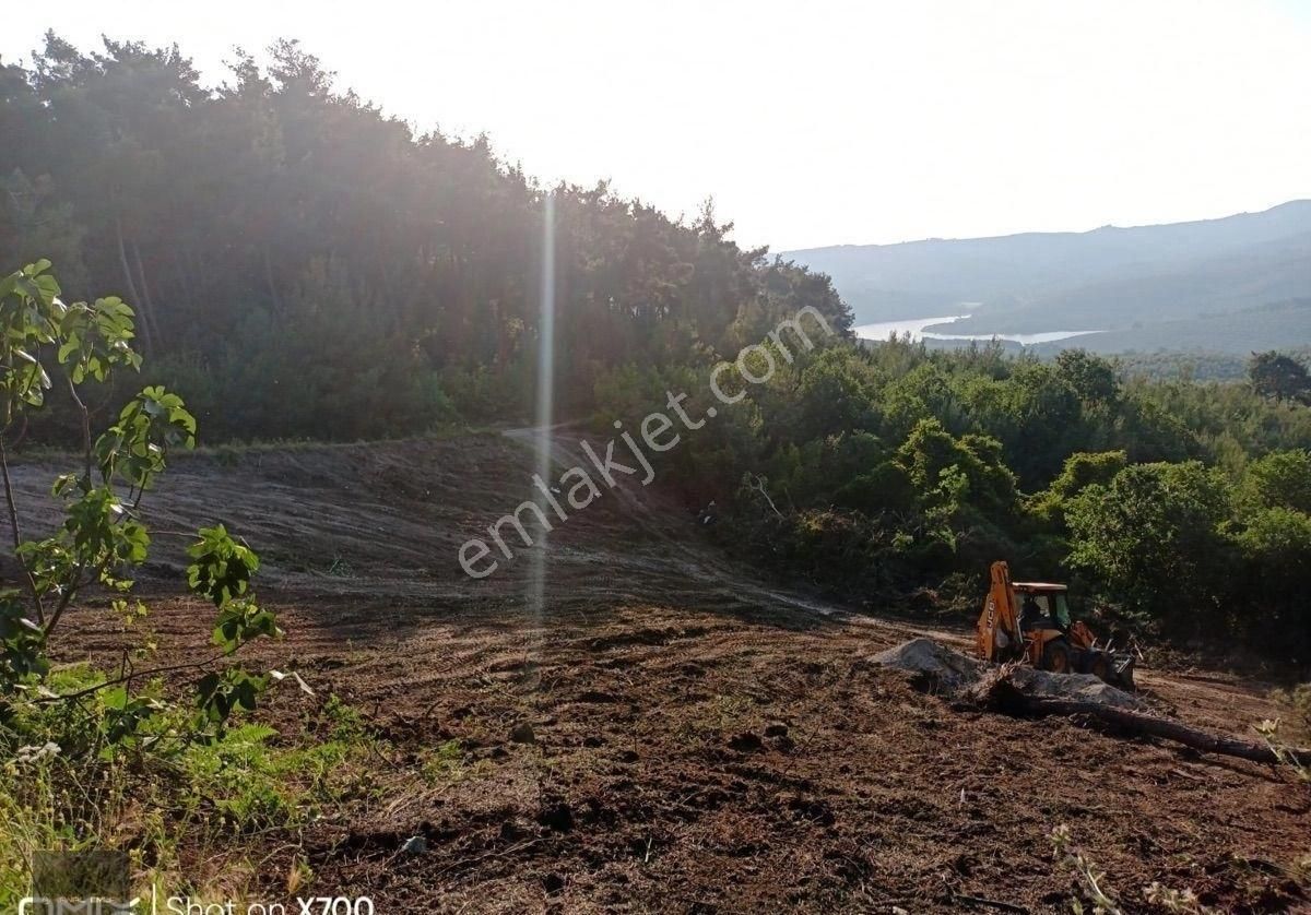 🏡 Mudanya Mirzaoba’da 2050 M² Yolu Olan Yatırımlık Tarla Satışta - Görsel 6