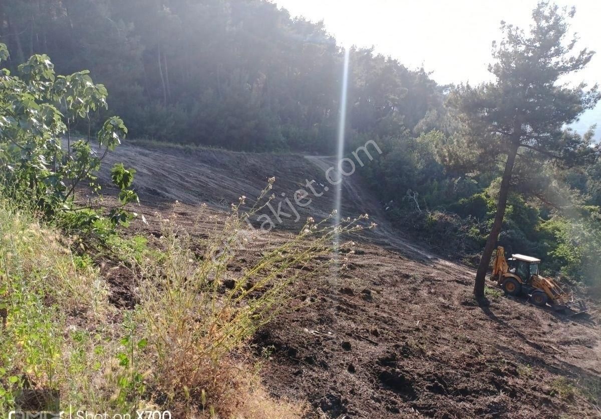 🏡 Mudanya Mirzaoba’da 2050 M² Yolu Olan Yatırımlık Tarla Satışta - Görsel 13