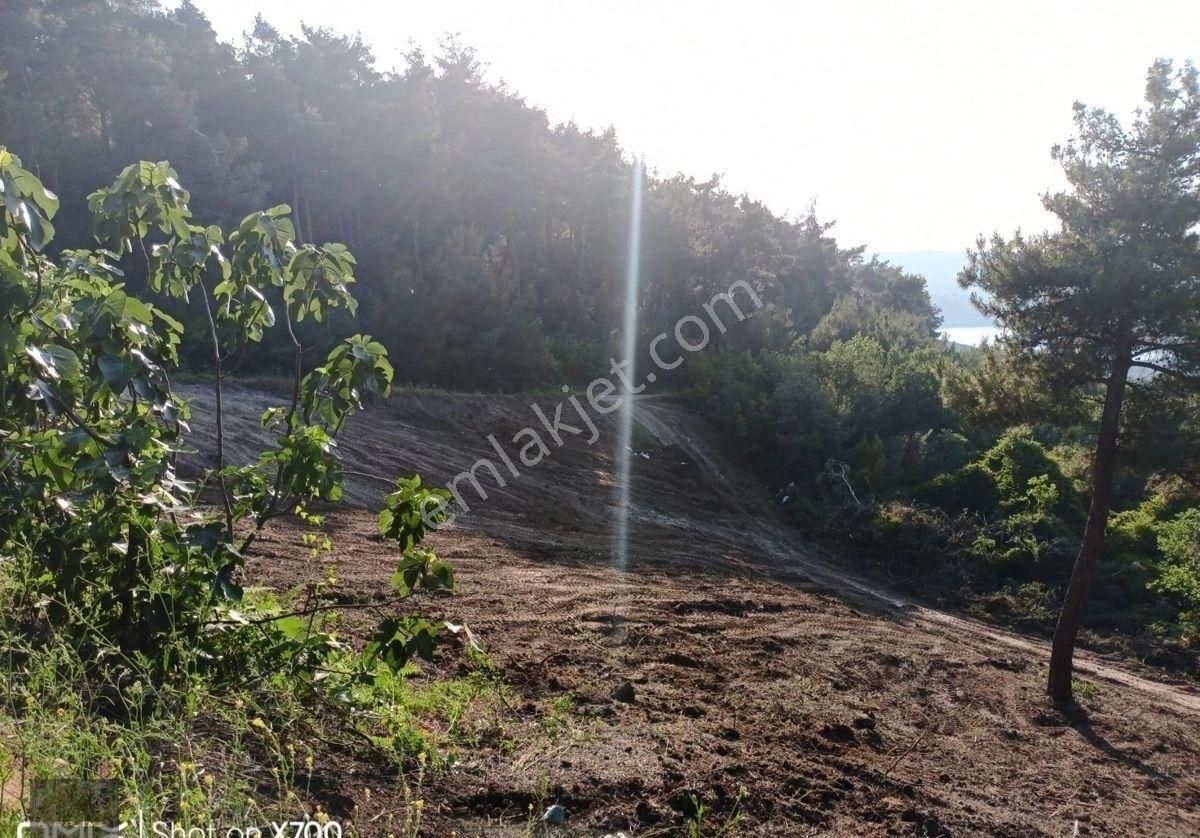 🏡 Mudanya Mirzaoba’da 2050 M² Yolu Olan Yatırımlık Tarla Satışta - Görsel 4