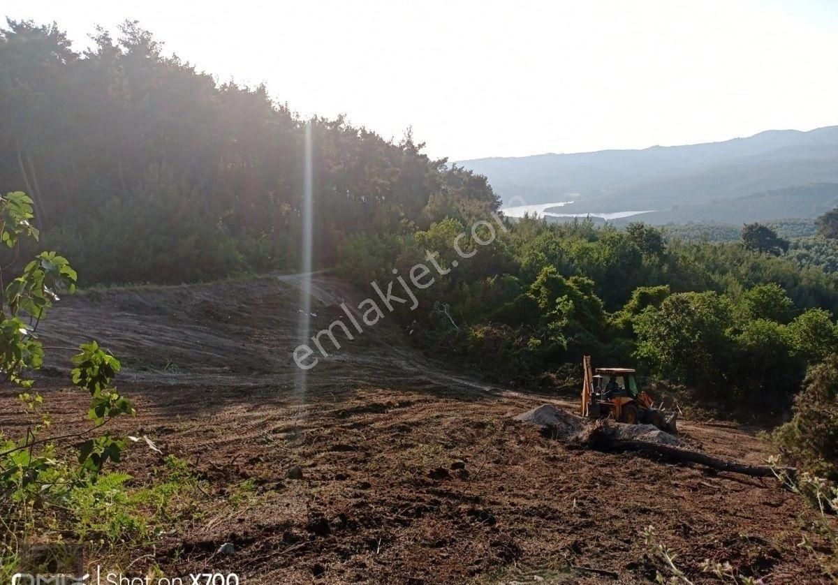 🏡 Mudanya Mirzaoba’da 2050 M² Yolu Olan Yatırımlık Tarla Satışta - Görsel 2