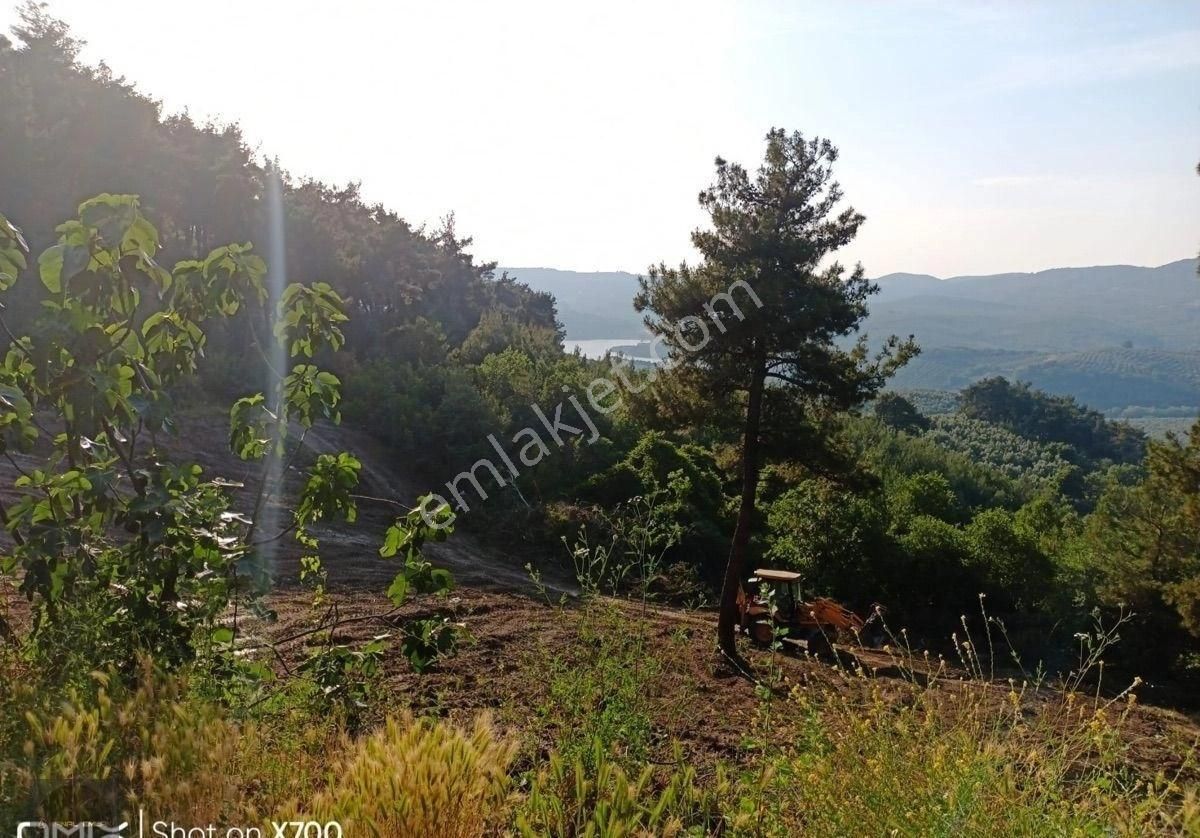 🏡 Mudanya Mirzaoba’da 2050 M² Yolu Olan Yatırımlık Tarla Satışta - Görsel 3