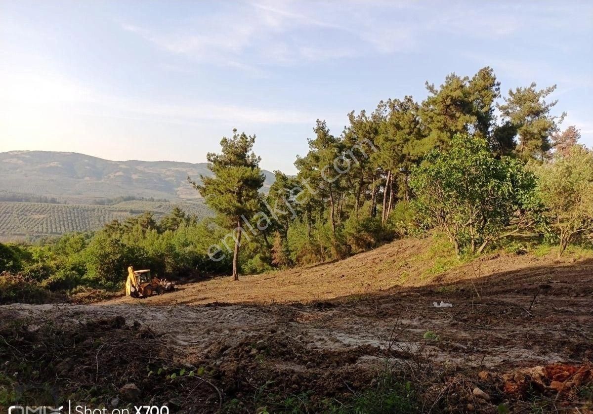 🏡 Mudanya Mirzaoba’da 2050 M² Yolu Olan Yatırımlık Tarla Satışta - Görsel 7