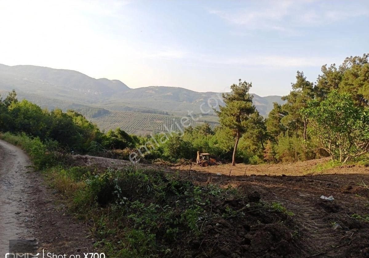 🏡 Mudanya Mirzaoba’da 2050 M² Yolu Olan Yatırımlık Tarla Satışta - Görsel 5