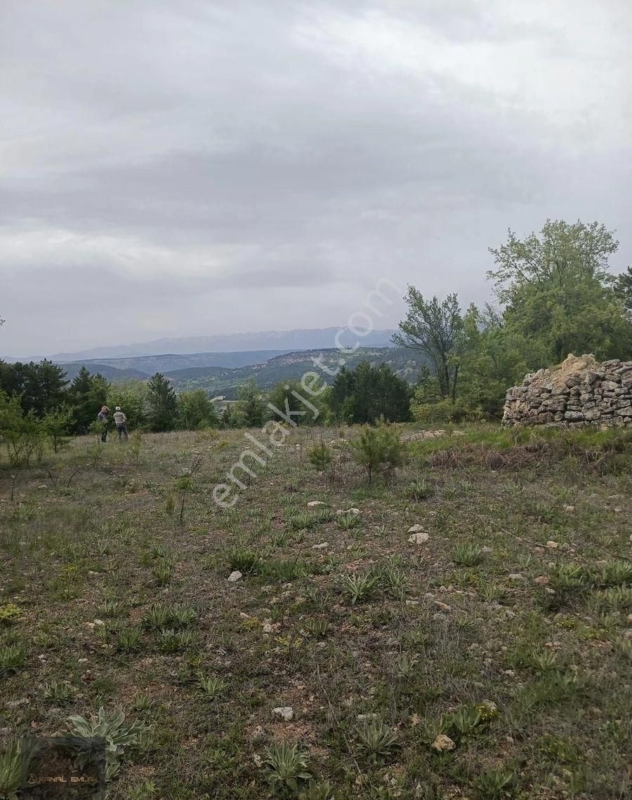 Acil Satılık Tarla ….