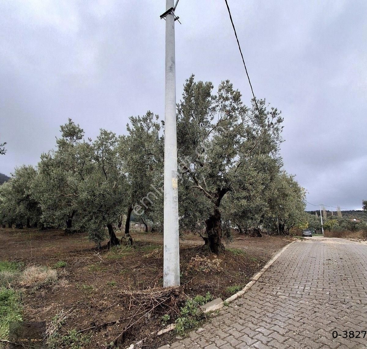 Mudanya Çepni Düz Bağlarda Satılık Yola Çephe Yatırımcılar İçin Kaçırılmayacak Fırsat - Görsel 7