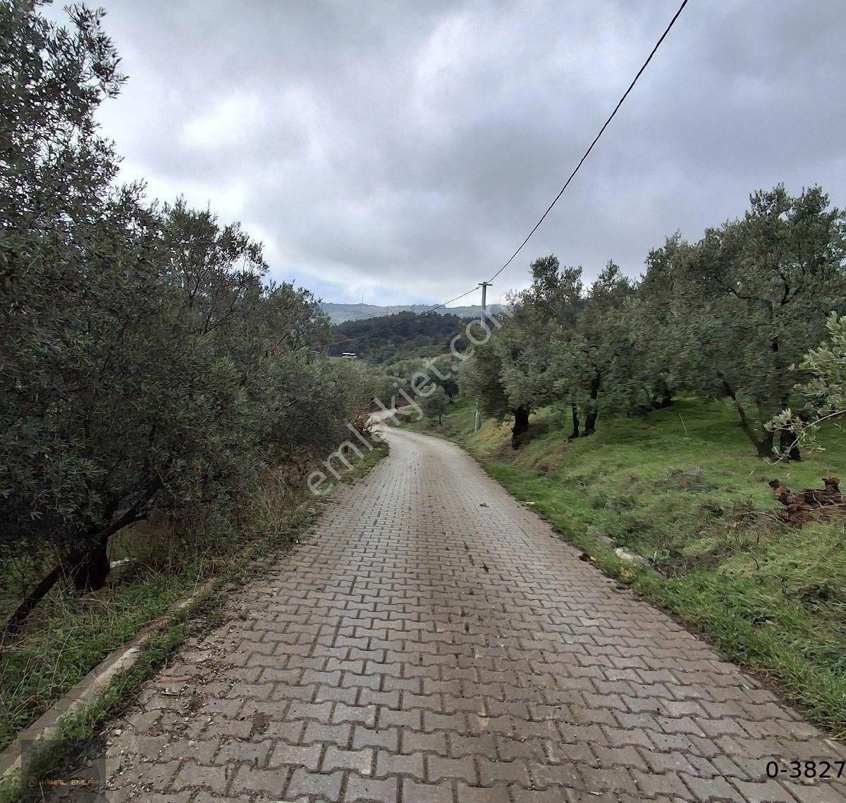 Mudanya Çepni Düz Bağlarda Satılık Yola Çephe Yatırımcılar İçin Kaçırılmayacak Fırsat - Görsel 6