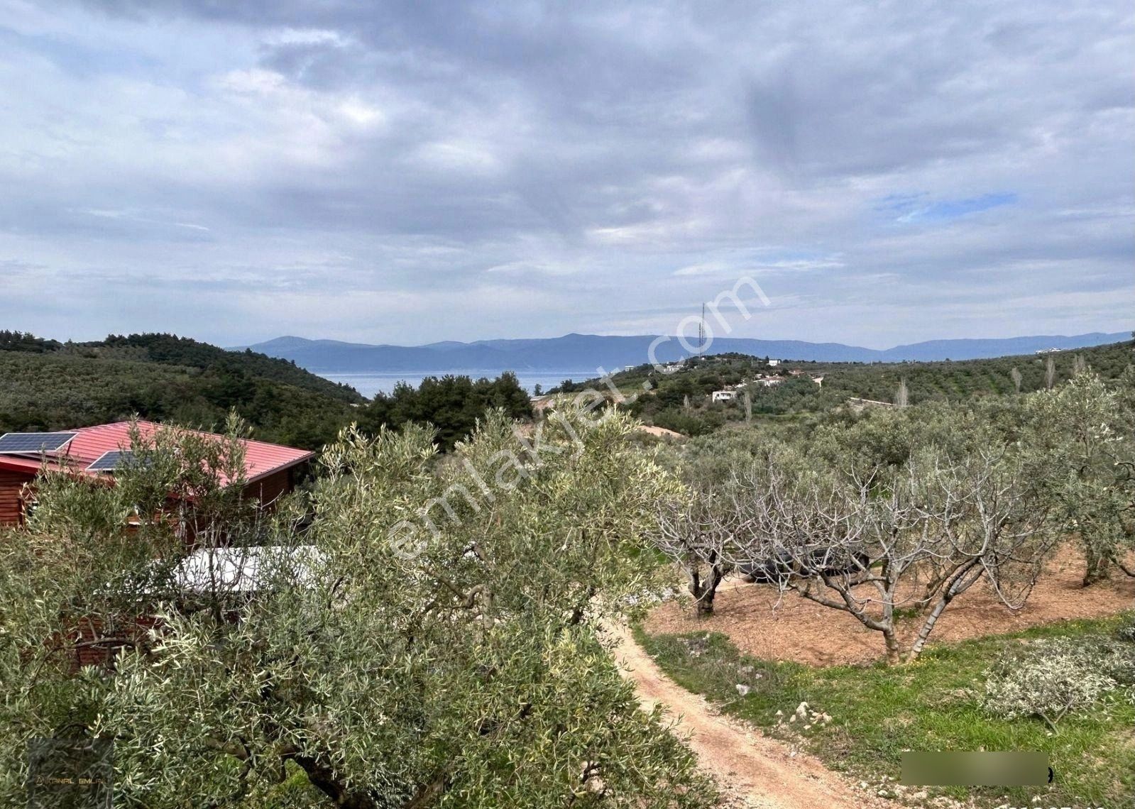 📍altıntaş’ta Otobana Yakın Deniz Manzaralı Arsa! - Görsel 11