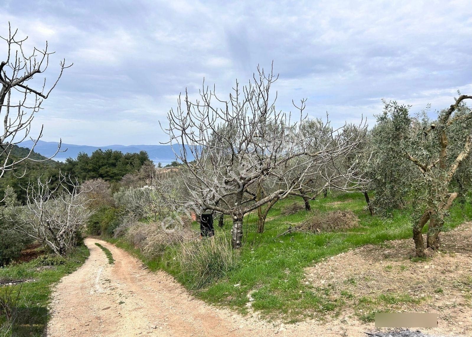📍altıntaş’ta Otobana Yakın Deniz Manzaralı Arsa! - Görsel 6