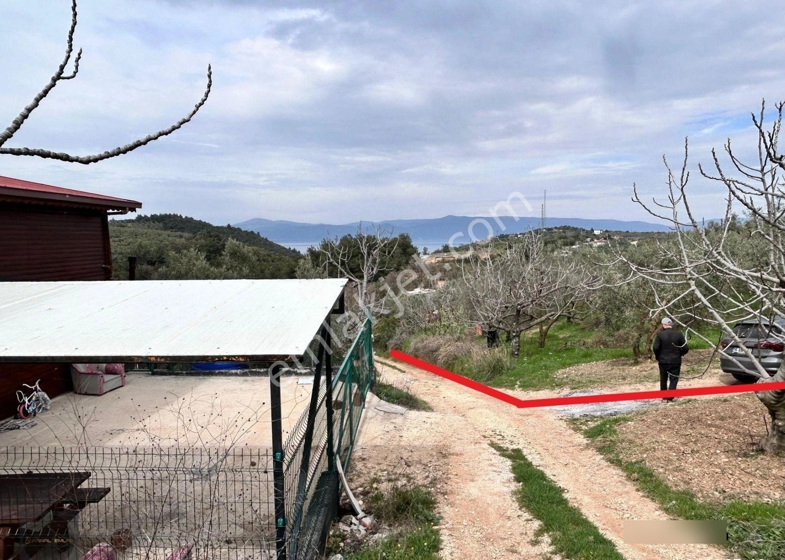 📍altıntaş’ta Otobana Yakın Deniz Manzaralı Arsa!