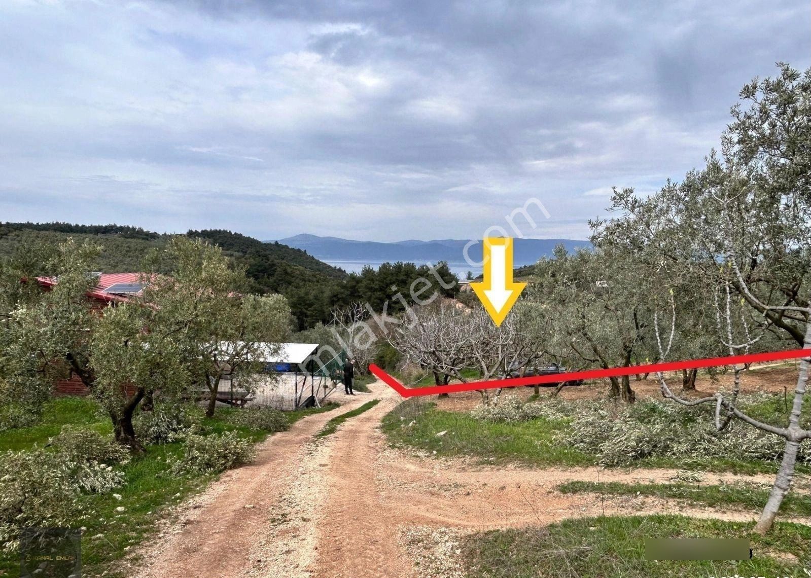 📍altıntaş’ta Otobana Yakın Deniz Manzaralı Arsa! - Görsel 9