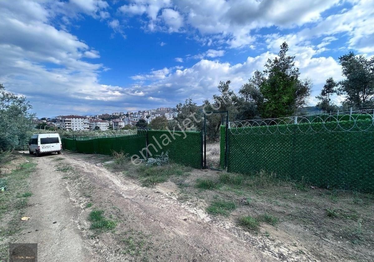 Şehir Merkezinde Hobi Bahçesi