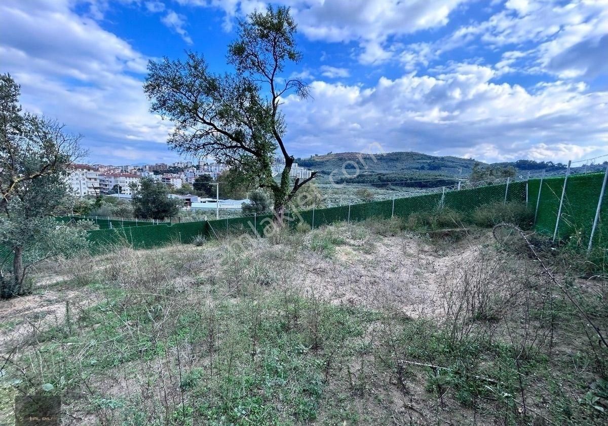 Şehir Merkezinde Hobi Bahçesi - Görsel 8