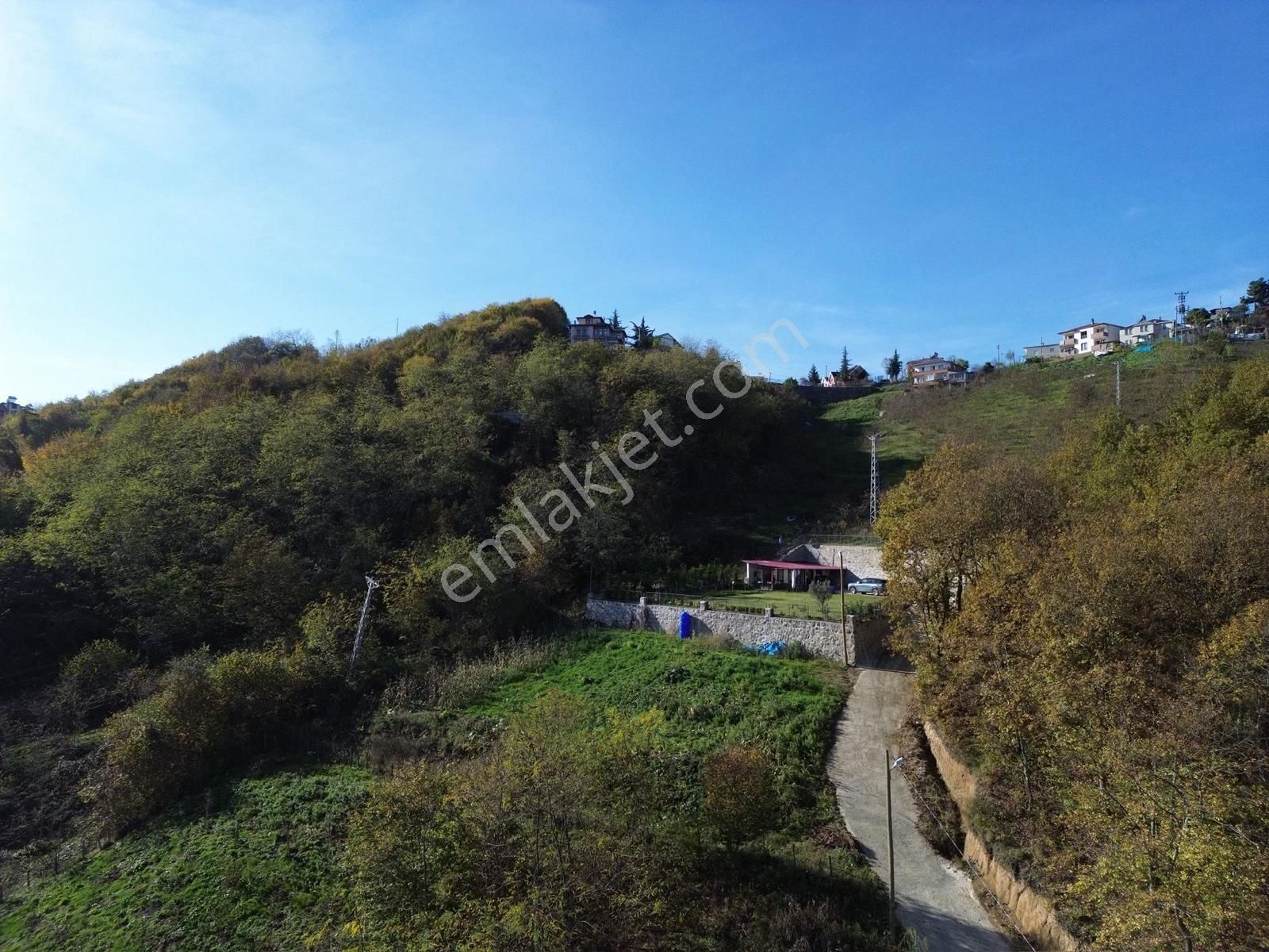 Trabzon Yeşilhisar'da Satılık Arazi - Görsel 7