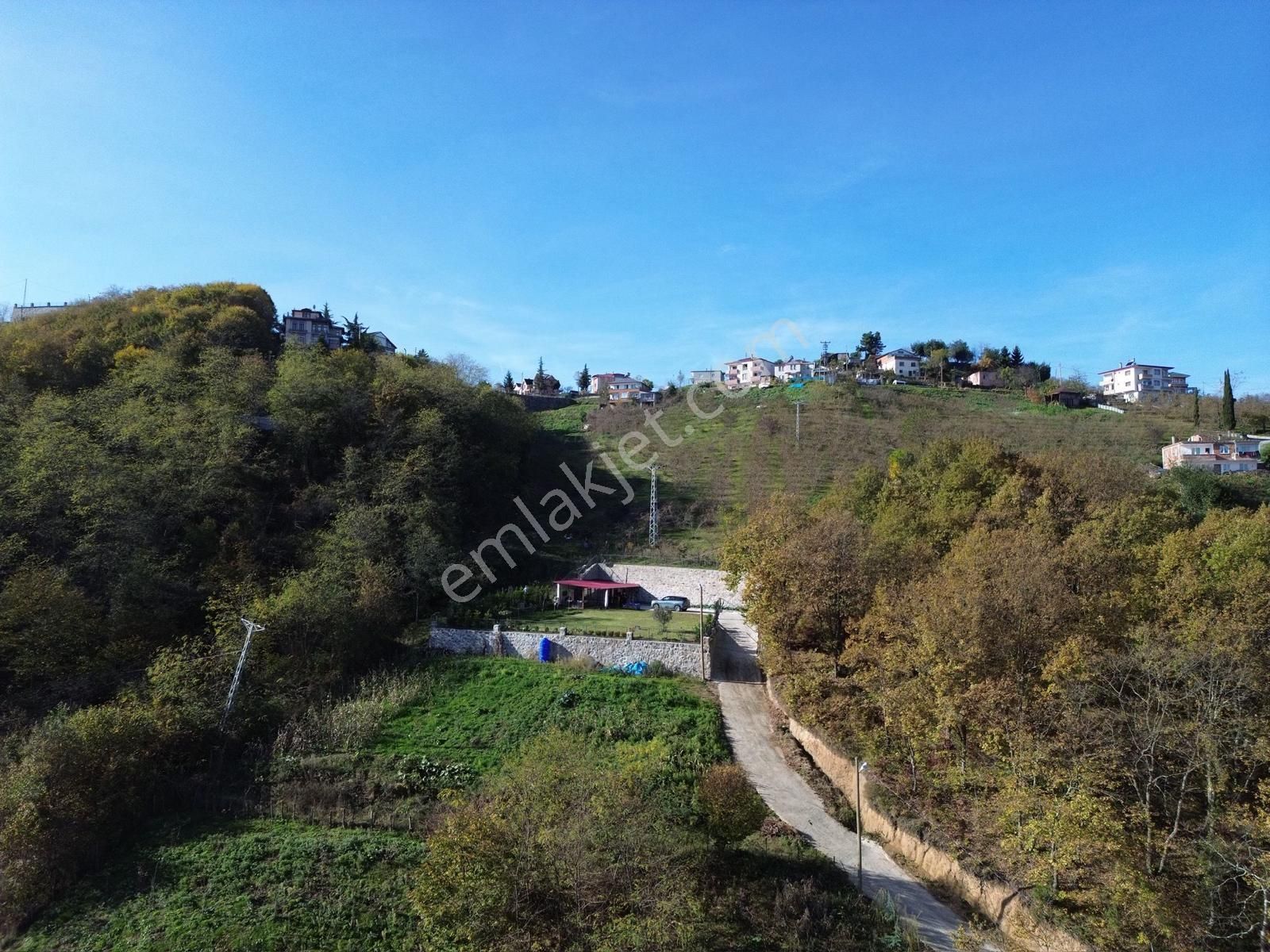 Trabzon Yeşilhisar'da Satılık Arazi - Görsel 5