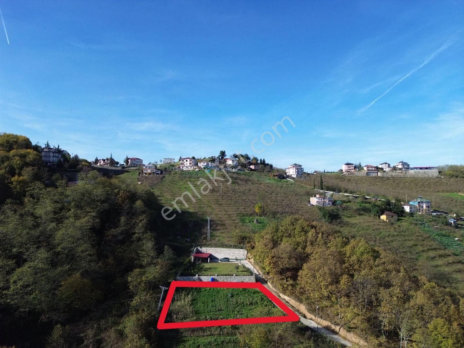 Trabzon Yeşilhisar'da Satılık Arazi