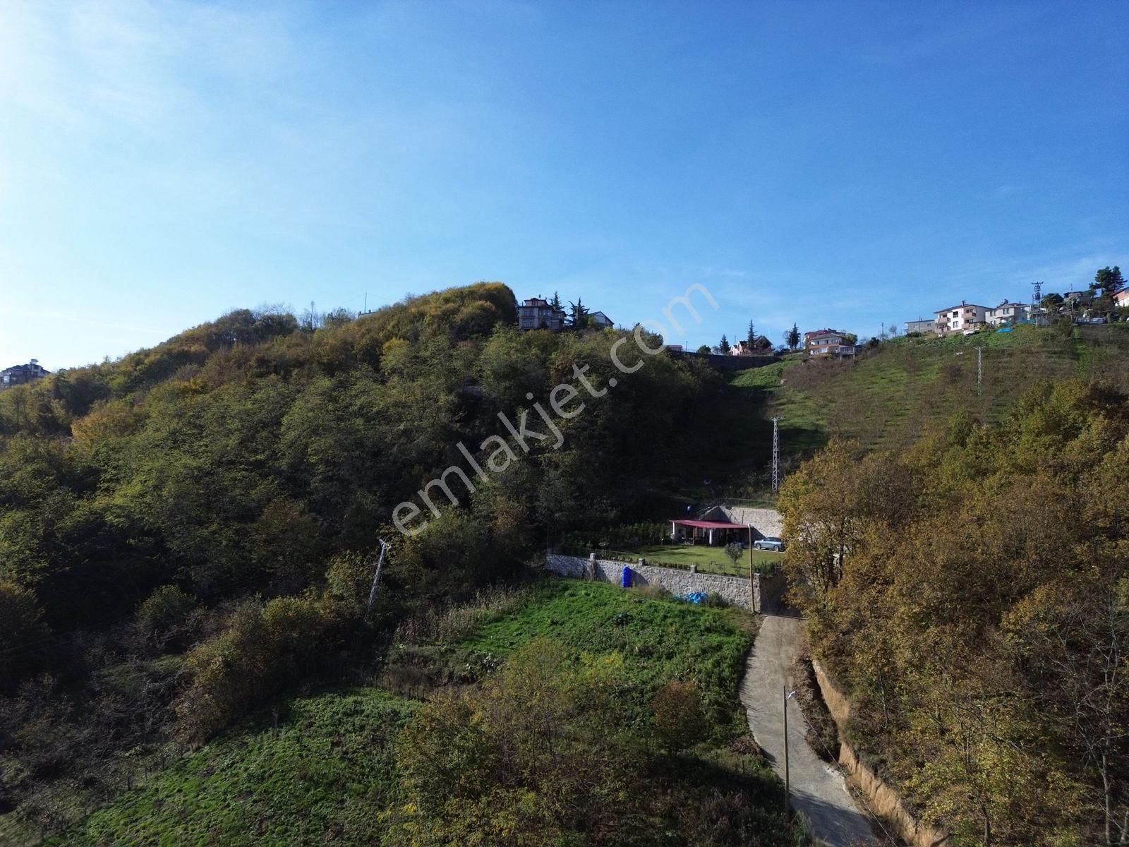 Trabzon Yeşilhisar'da Satılık Arazi - Görsel 9