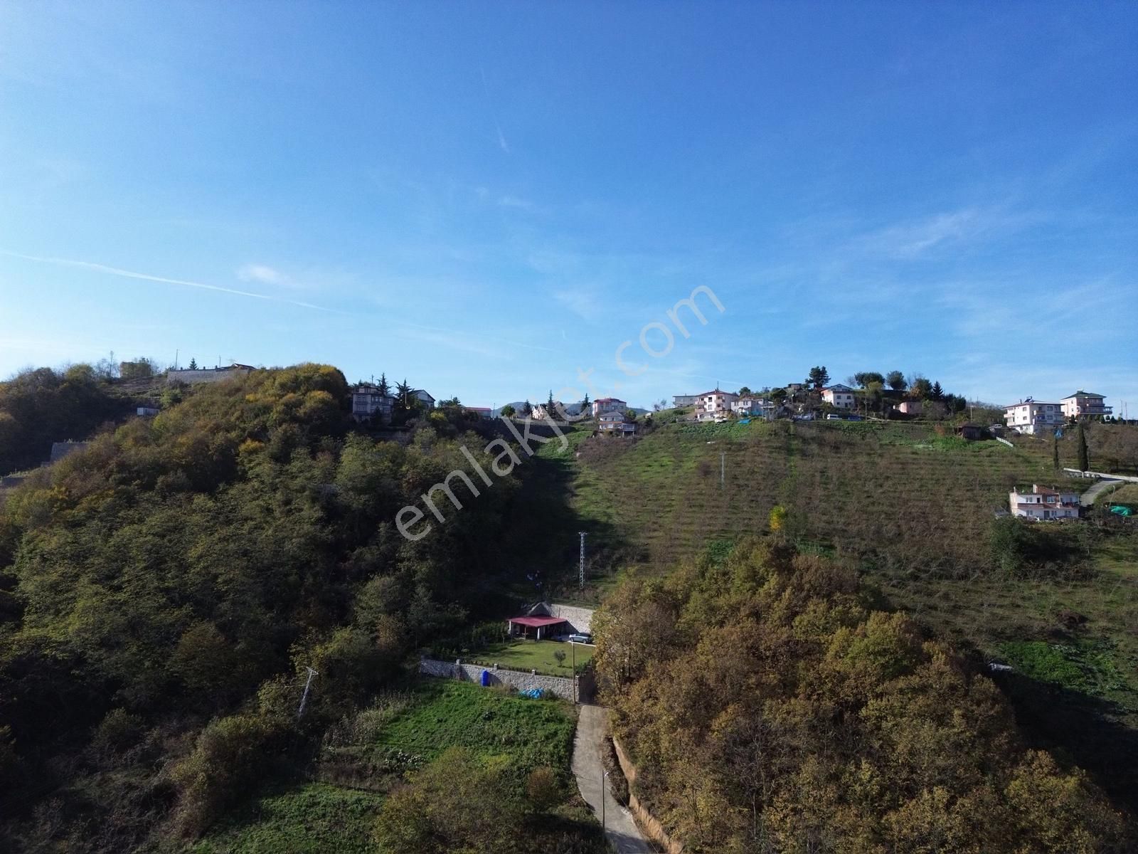 Trabzon Yeşilhisar'da Satılık Arazi - Görsel 14