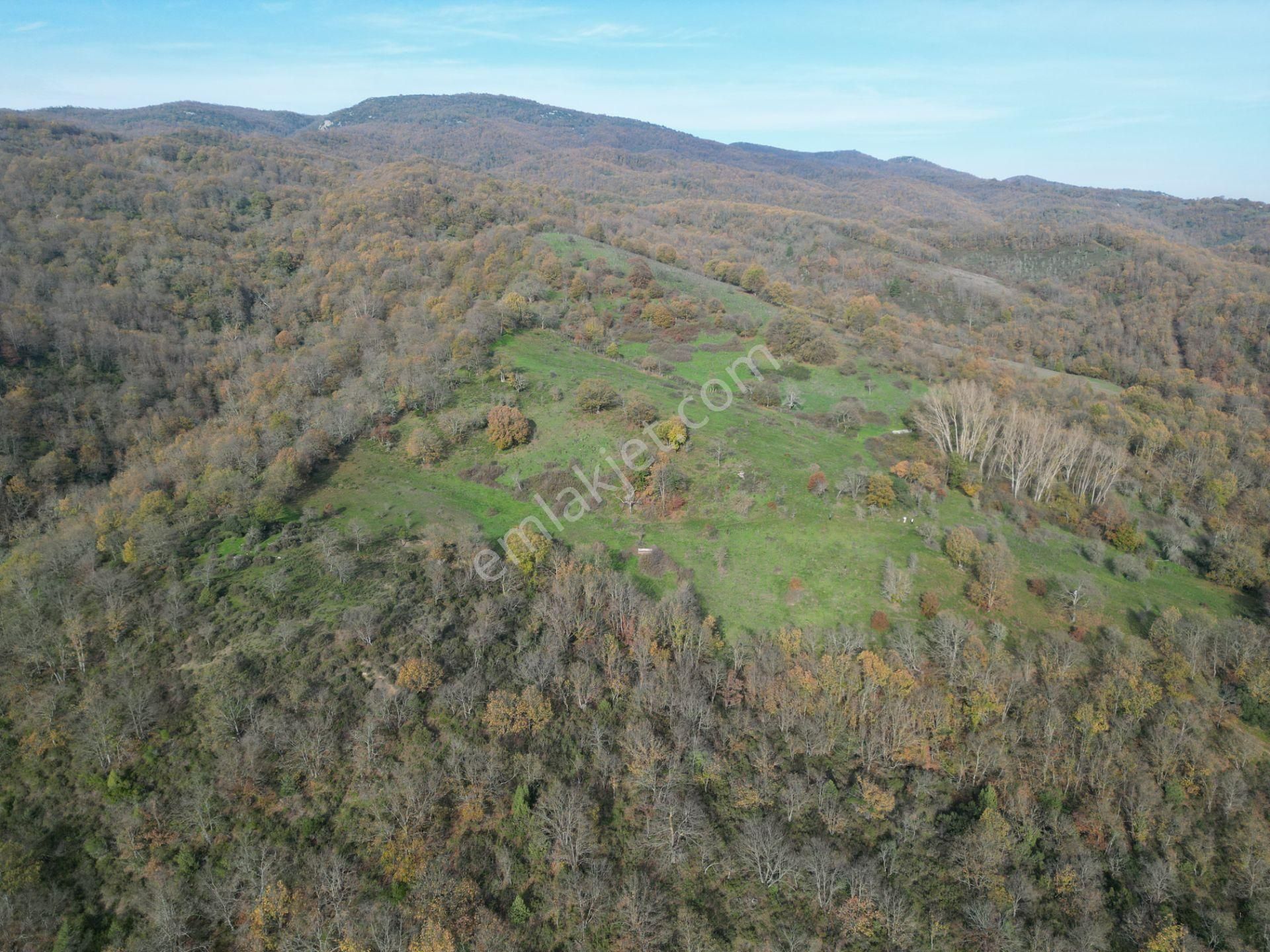 Çanakkale Yenice Aşağıinova – 20.695 M² Su Kaynaklı Manzaralı Tarla | Yatırımlıklık Arazi