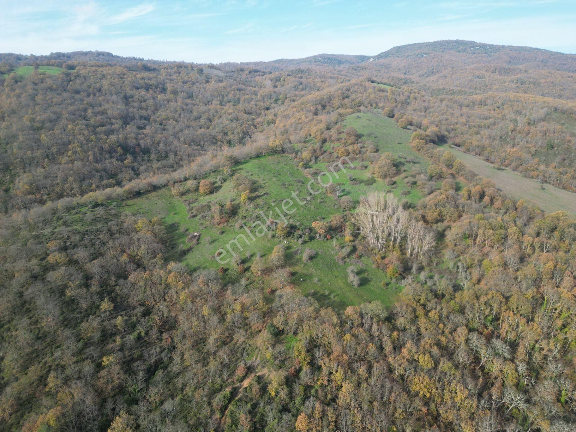 Çanakkale Yenice Aşağıinova – 20.695 M² Su Kaynaklı Manzaralı Tarla | Yatırımlıklık Arazi - Görsel 5