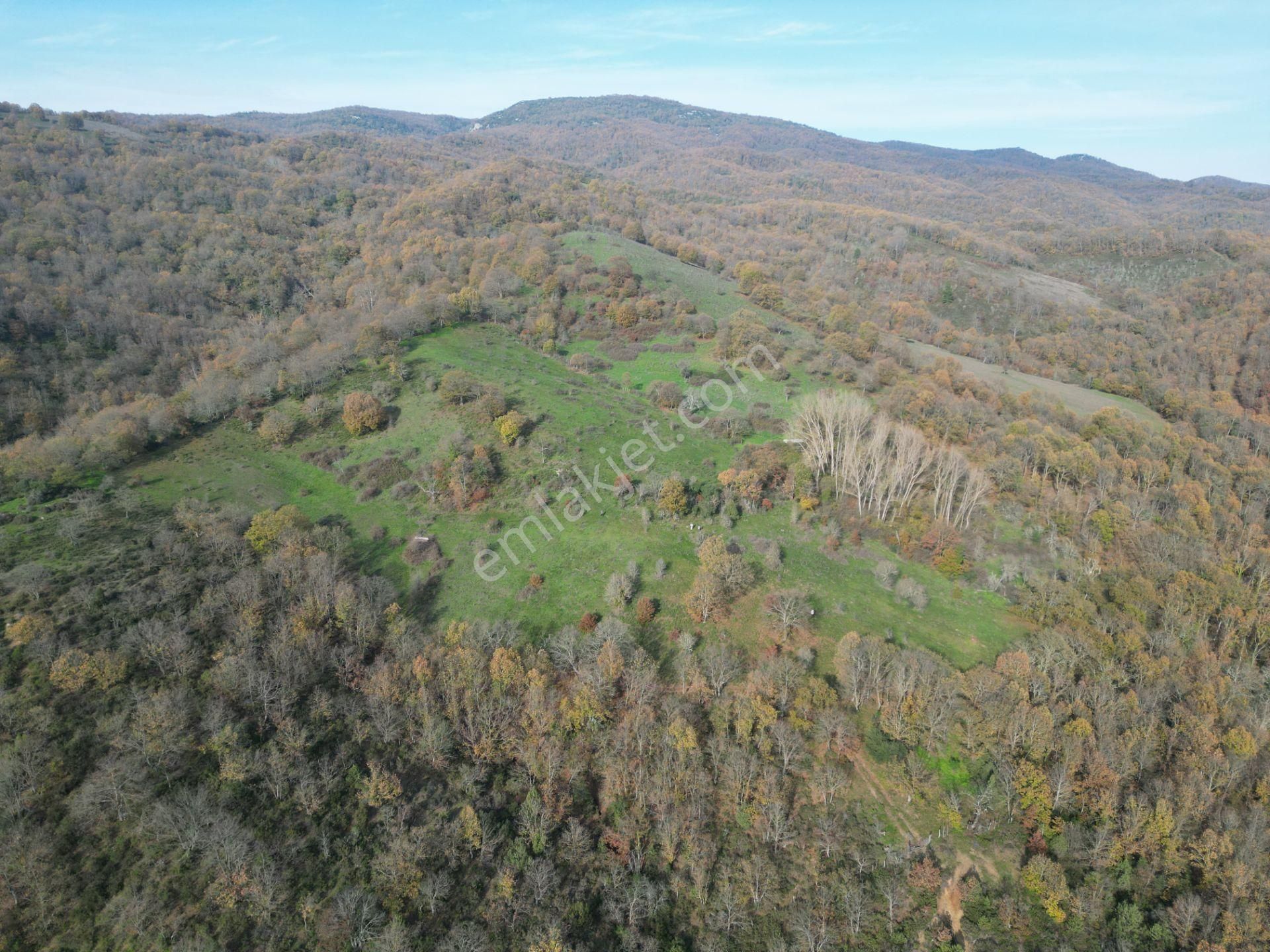 Çanakkale Yenice Aşağıinova – 20.695 M² Su Kaynaklı Manzaralı Tarla | Yatırımlıklık Arazi - Görsel 3