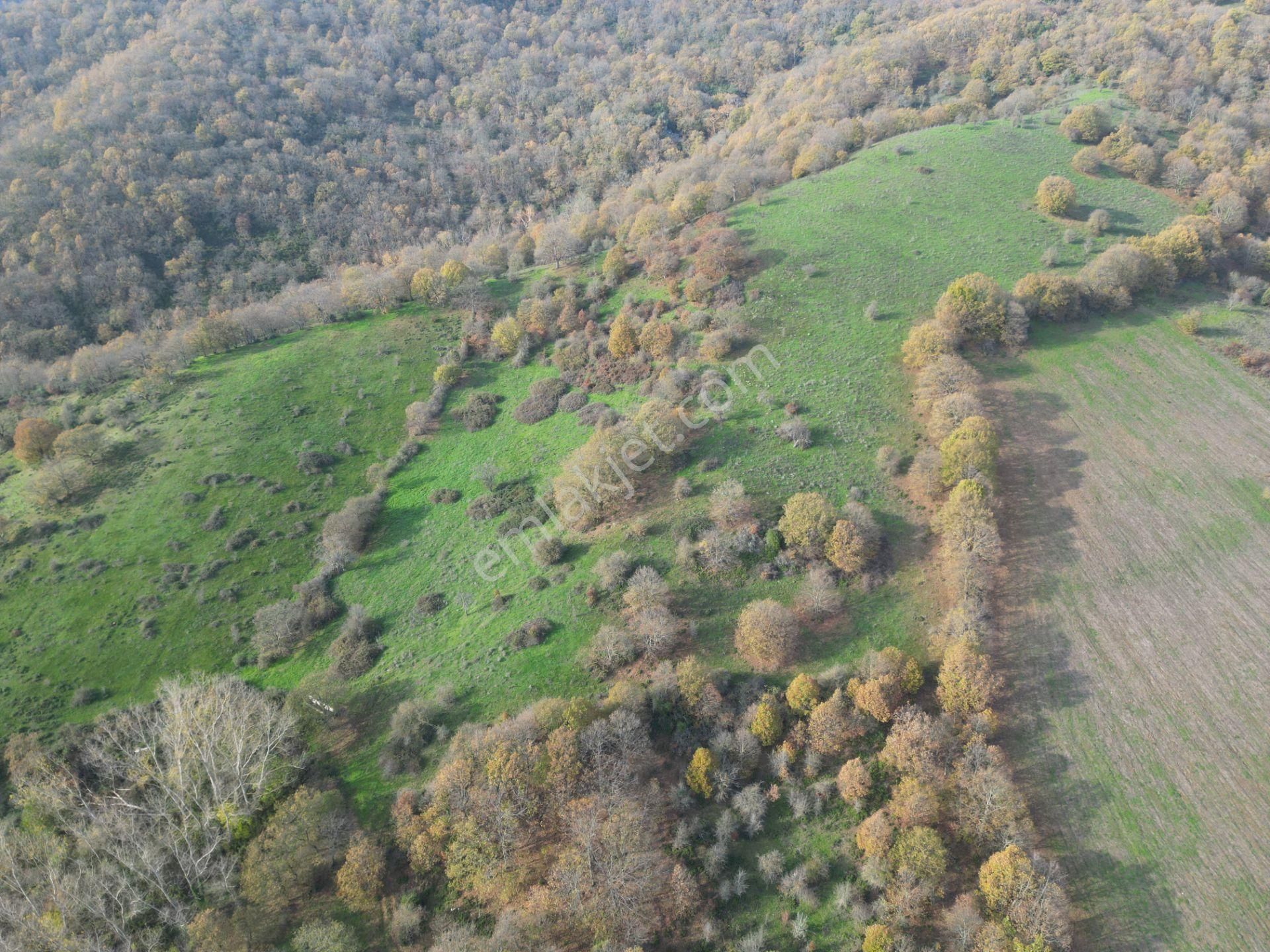 Çanakkale Yenice Aşağıinova – 20.695 M² Su Kaynaklı Manzaralı Tarla | Yatırımlıklık Arazi - Görsel 2