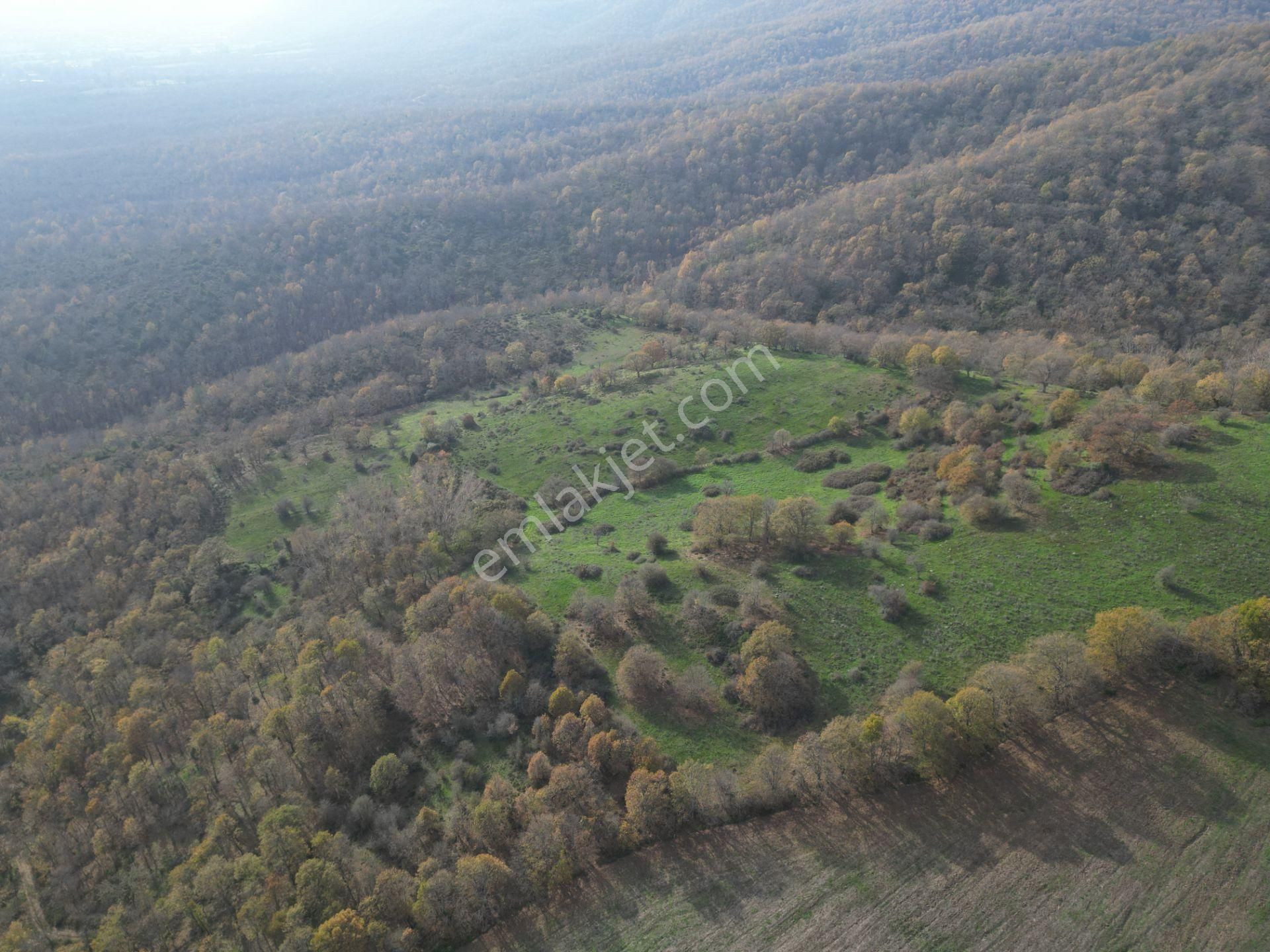 Çanakkale Yenice Aşağıinova – 20.695 M² Su Kaynaklı Manzaralı Tarla | Yatırımlıklık Arazi - Görsel 6