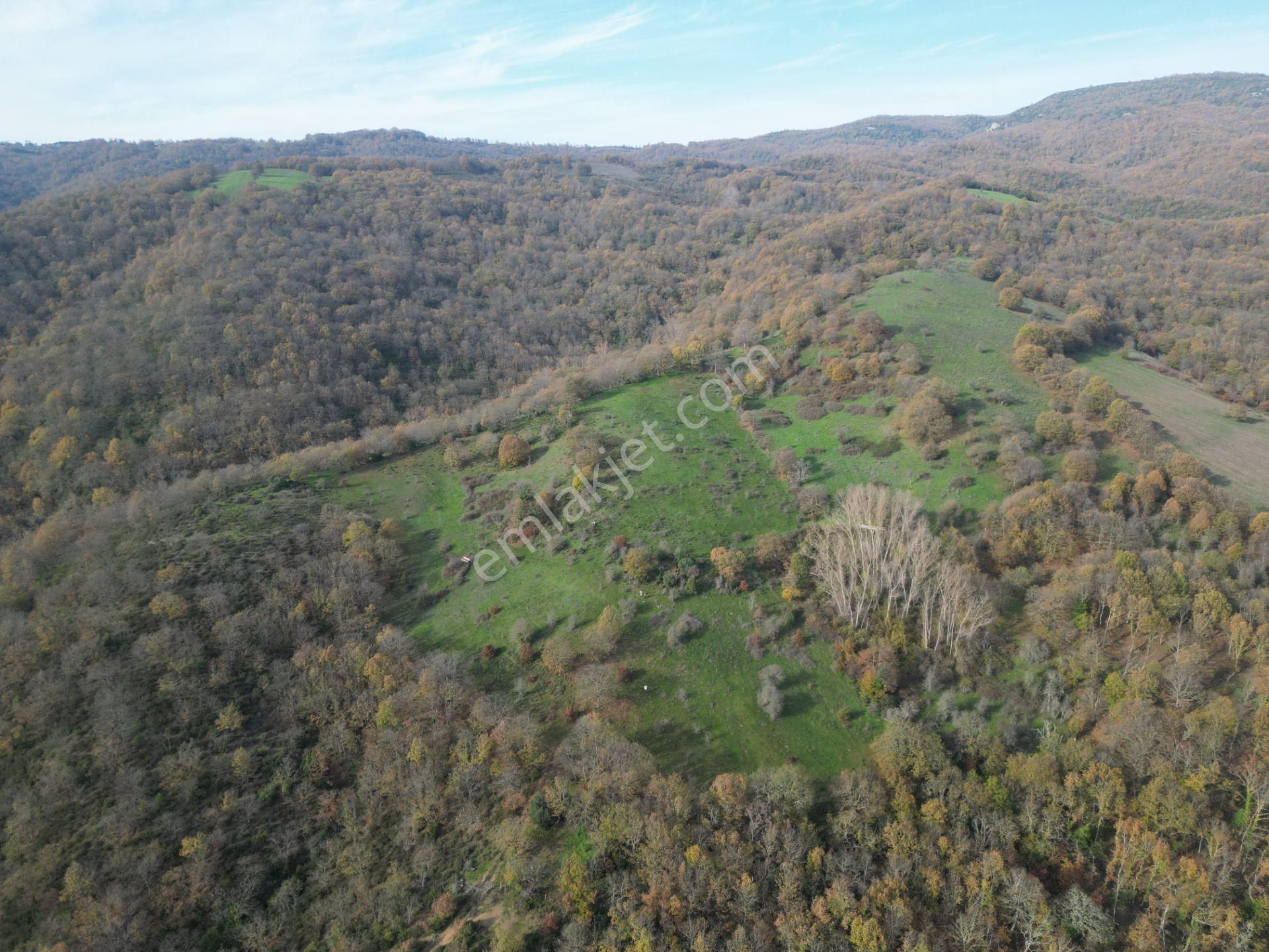 Çanakkale Yenice Aşağıinova – 20.695 M² Su Kaynaklı Manzaralı Tarla | Yatırımlıklık Arazi - Görsel 7