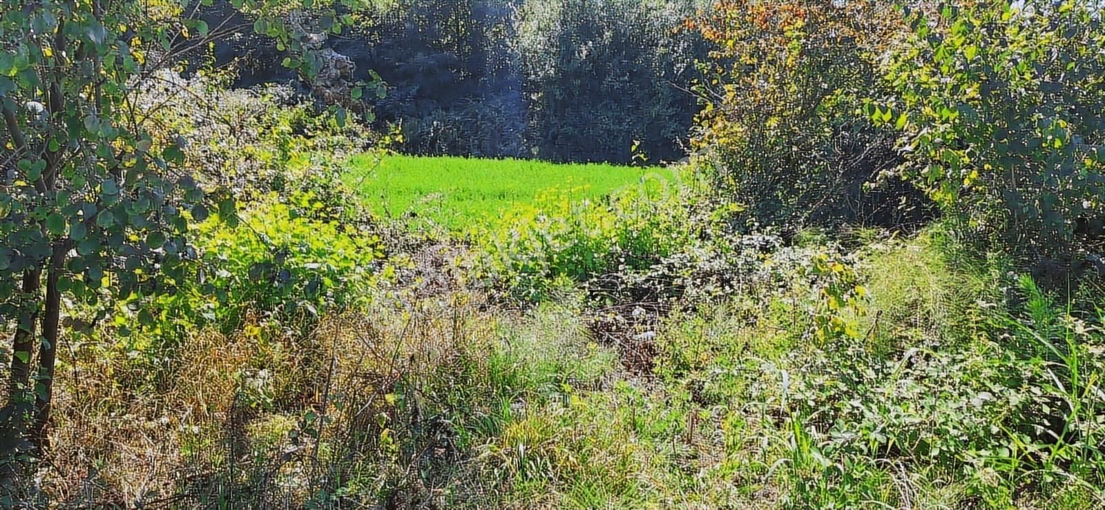 Kandırada Denize Yakın Uygun Fiyatıyla Kaçırılmaz Son Arsa !! - Görsel 10