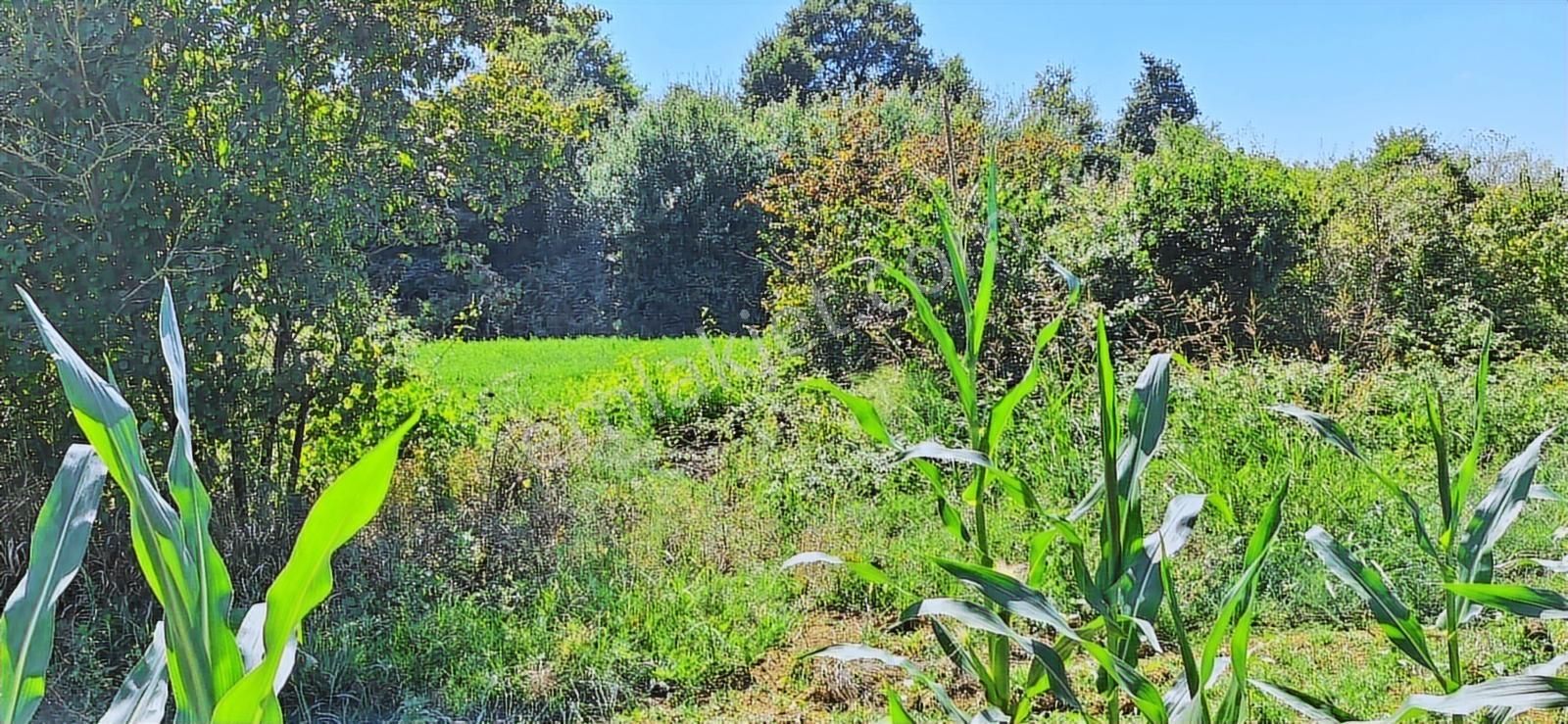 Kandırada Denize Yakın Uygun Fiyatıyla Kaçırılmaz Son Arsa !! - Görsel 12