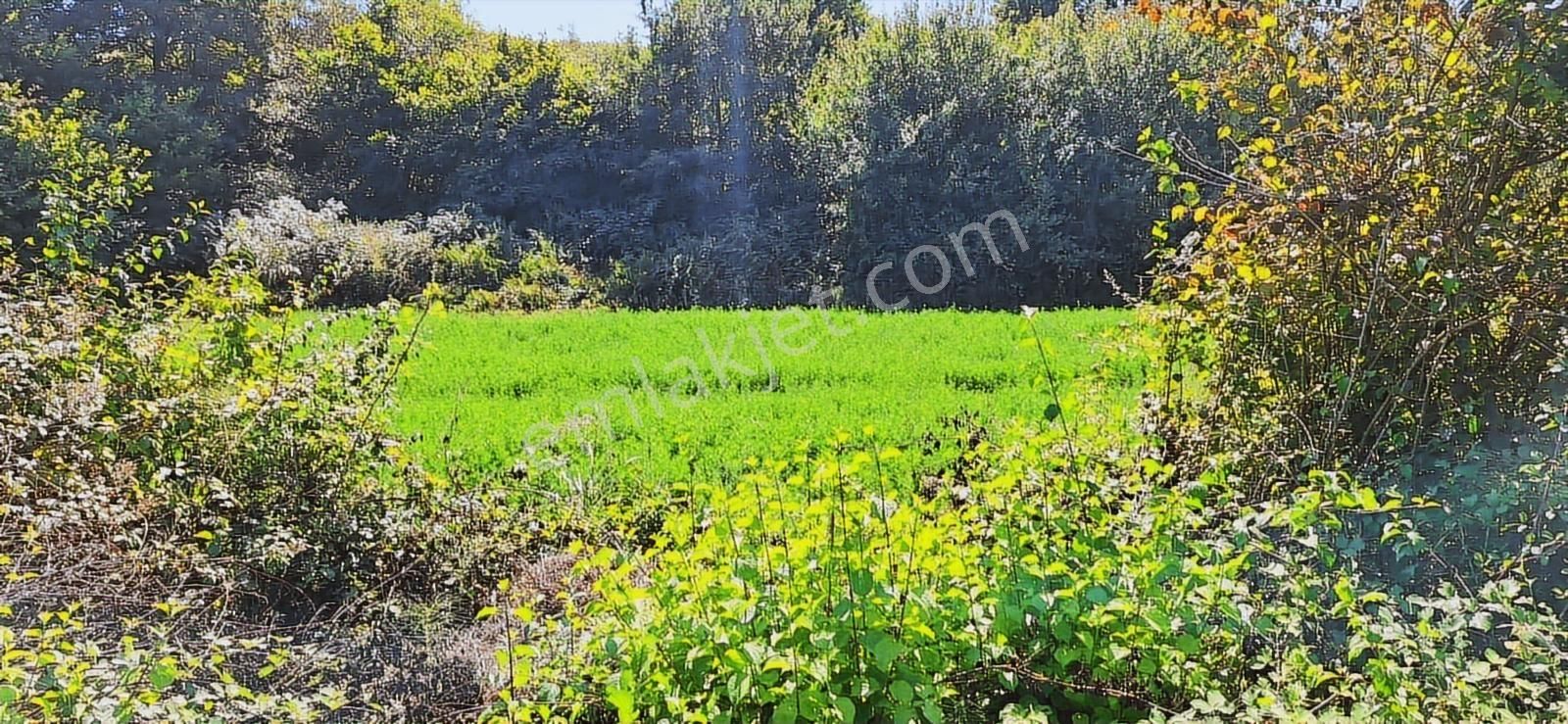 Kandırada Denize Yakın Uygun Fiyatıyla Kaçırılmaz Son Arsa !! - Görsel 6