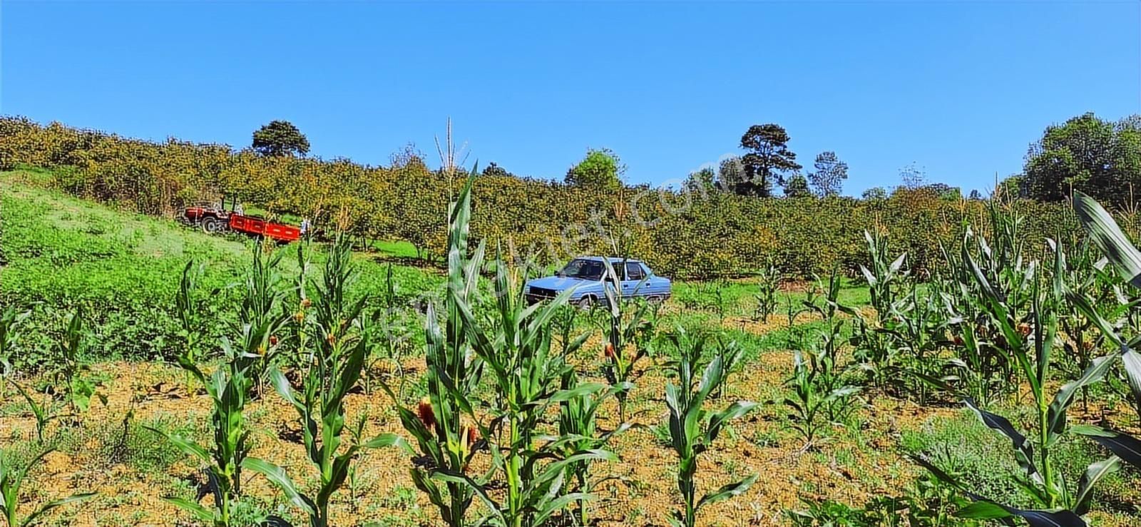 Kandırada Denize Yakın Uygun Fiyatıyla Kaçırılmaz Son Arsa !! - Görsel 16