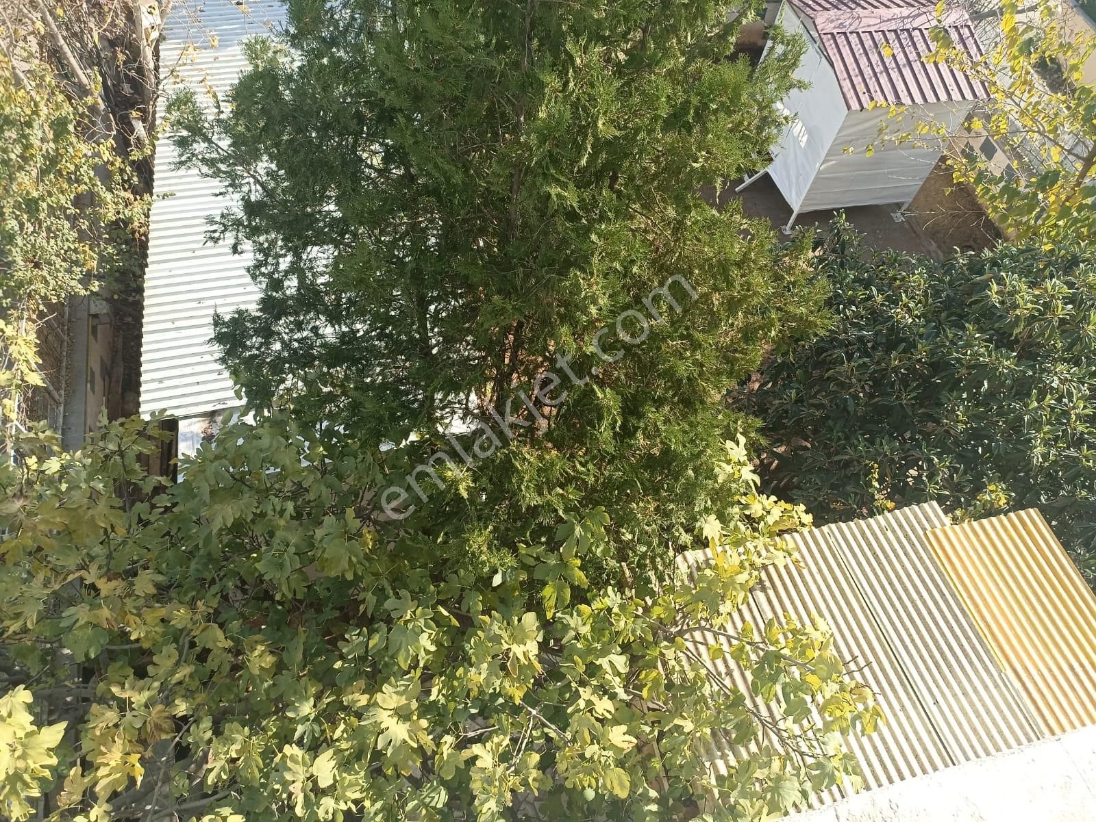 Taha Emlak Tan Urfa Yolu Memorial Hast. Arkasında Satılık Villa 591 Mt Kare - Görsel 15