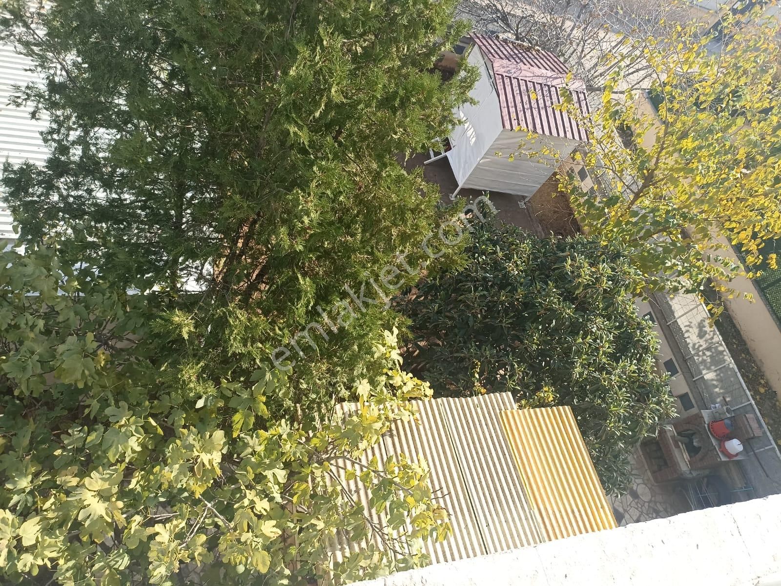 Taha Emlak Tan Urfa Yolu Memorial Hast. Arkasında Satılık Villa 591 Mt Kare - Görsel 11