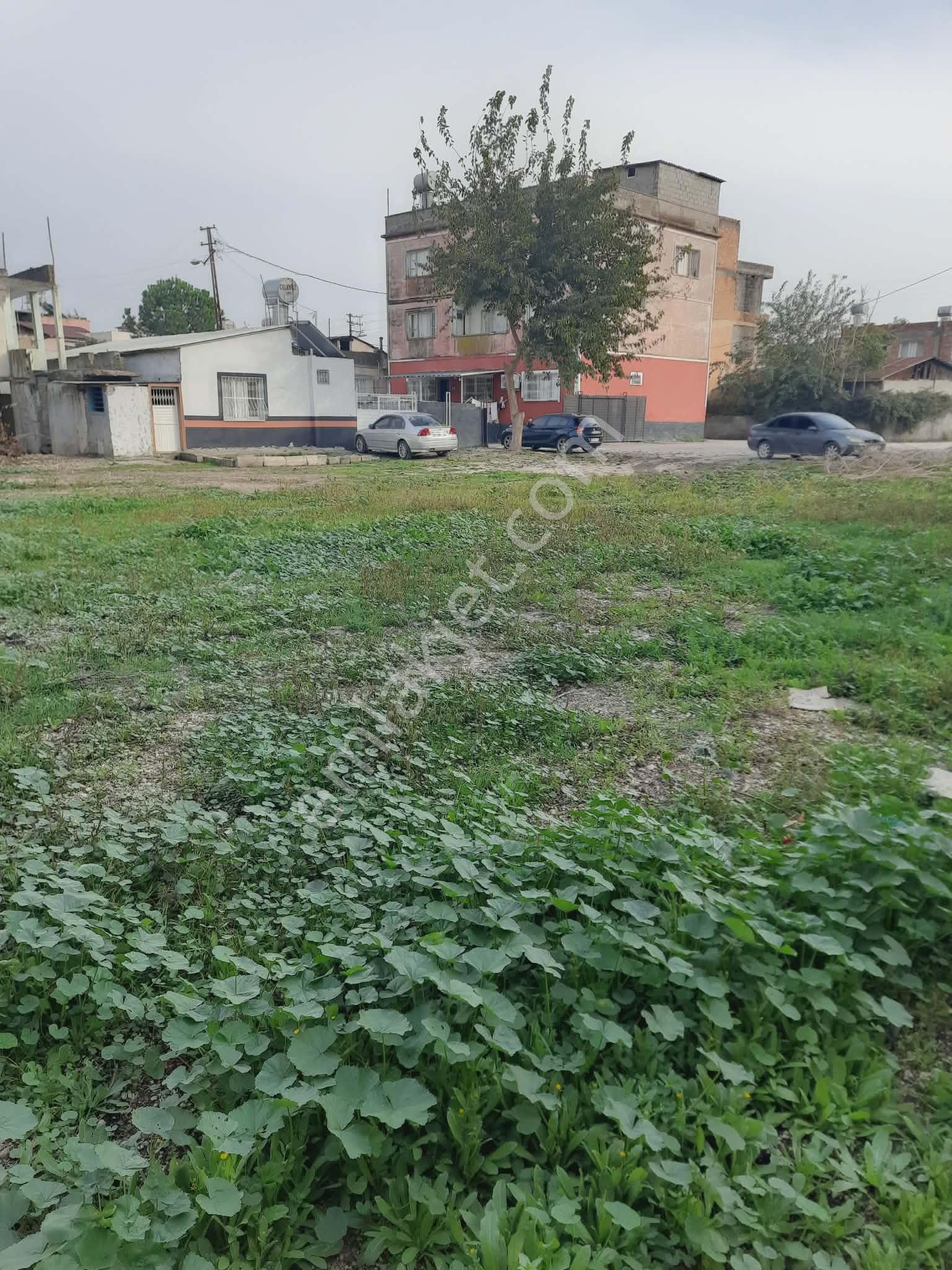 Çınar Emlak'tan Muradiye Mh Satılık 1.052 Mt Arsa - Görsel 6