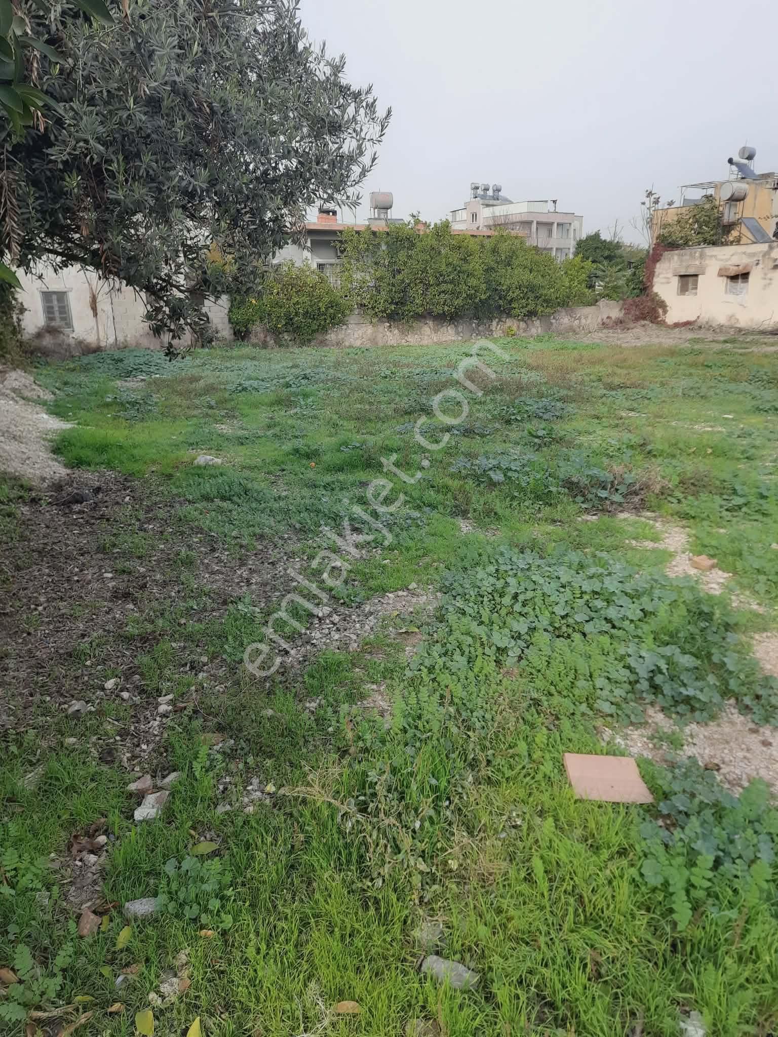 Çınar Emlak'tan Muradiye Mh Satılık 1.052 Mt Arsa - Görsel 9