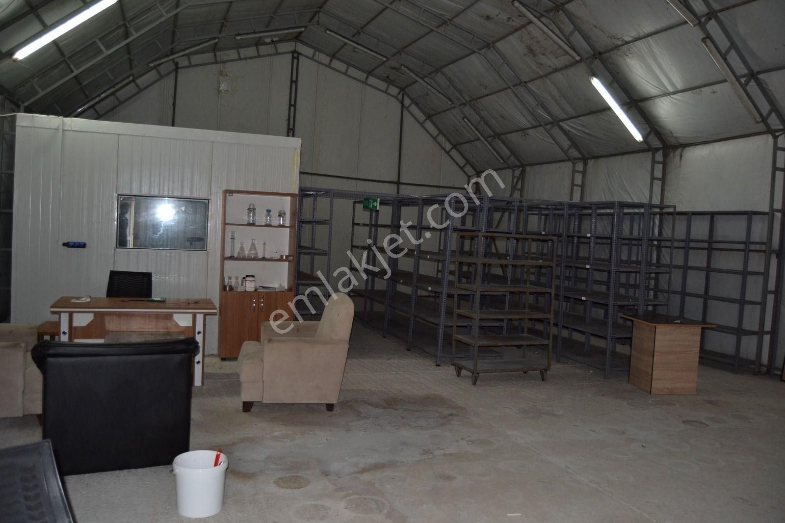 Devren Satılık Mantar Üretim Fabrikası - Görsel 3