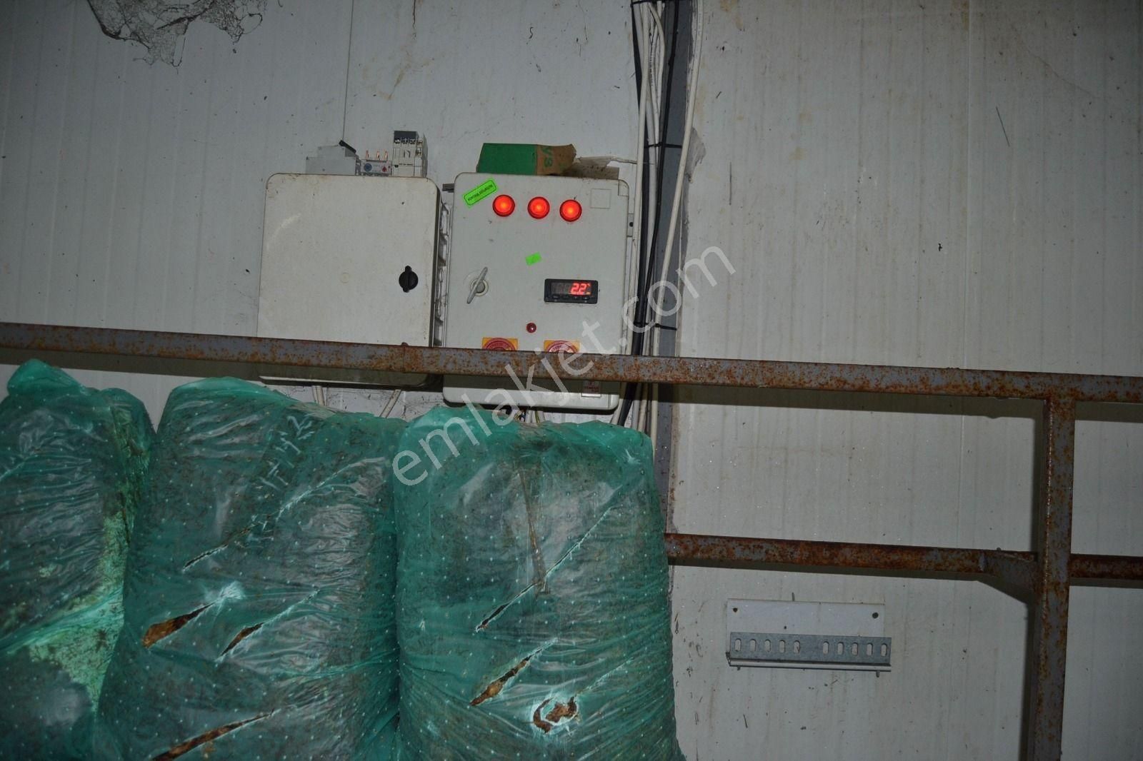 Devren Satılık Mantar Üretim Fabrikası - Görsel 15