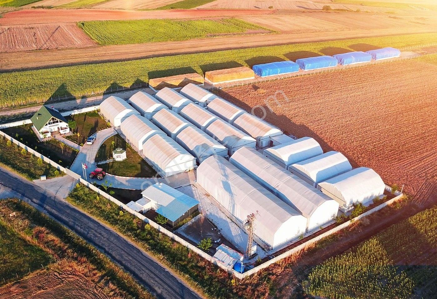 Devren Satılık Mantar Üretim Fabrikası - Görsel 22